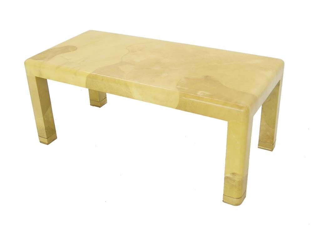 EstablishedLines Mid-Century Modern Lacquered Goat Skin Parchment Coffee Table Brass Feet MINT