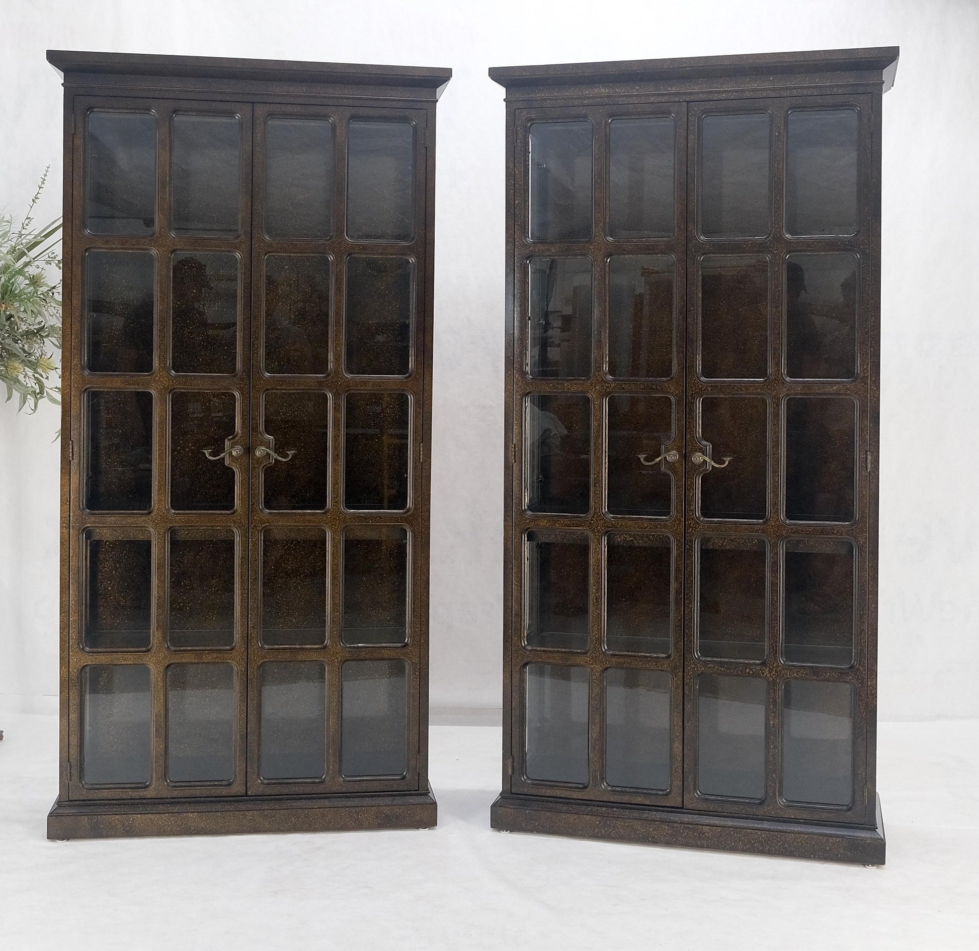 EstablishedLines Drexel Pair of Large Tortoise Finish Vitrines Etageres Cupboards Showcases MINT