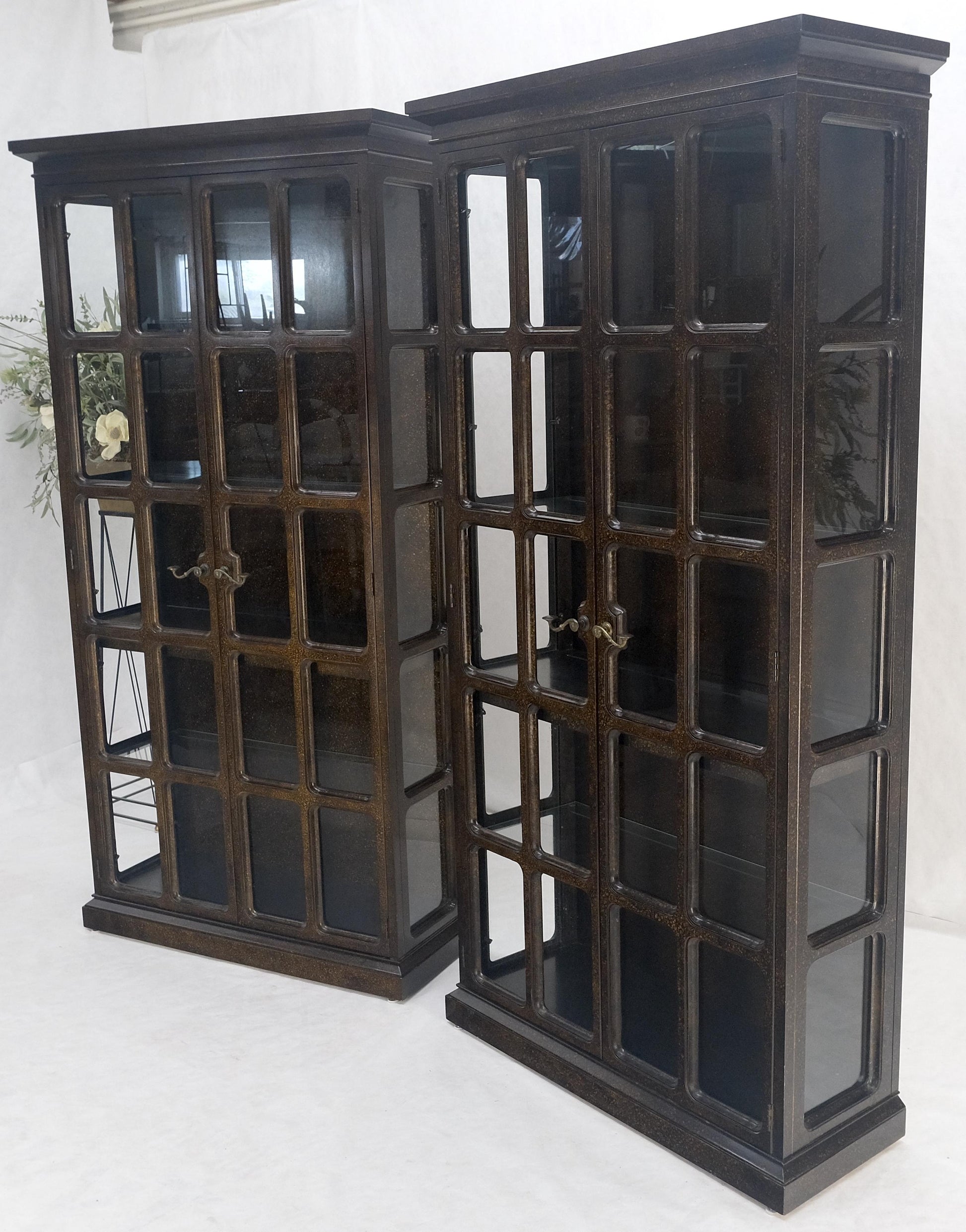 EstablishedLines Drexel Pair of Large Tortoise Finish Vitrines Etageres Cupboards Showcases MINT