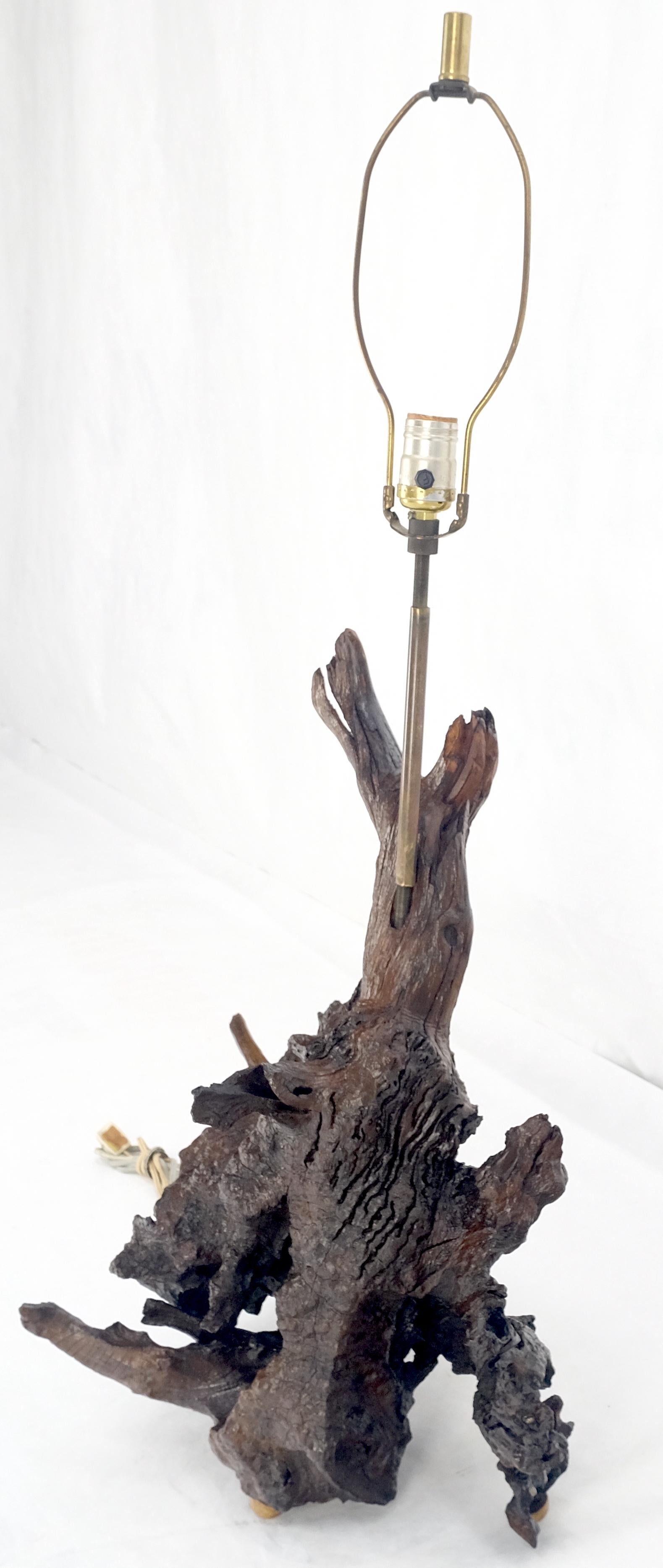 EstablishedLines Large 37" Tall Mid Century Modern Varnished Oiled Driftwood Table Lamp MINT