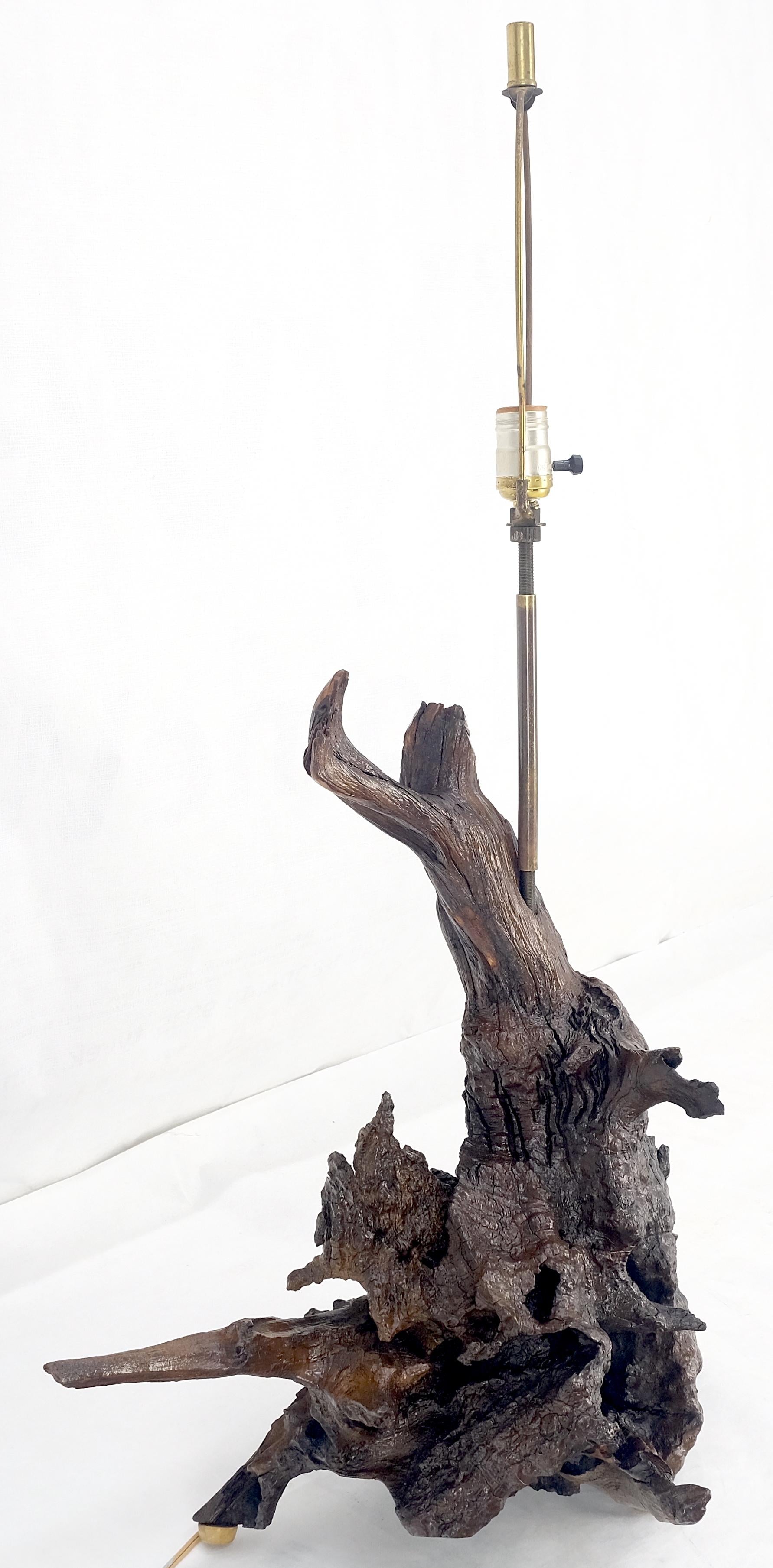 EstablishedLines Large 37" Tall Mid Century Modern Varnished Oiled Driftwood Table Lamp MINT