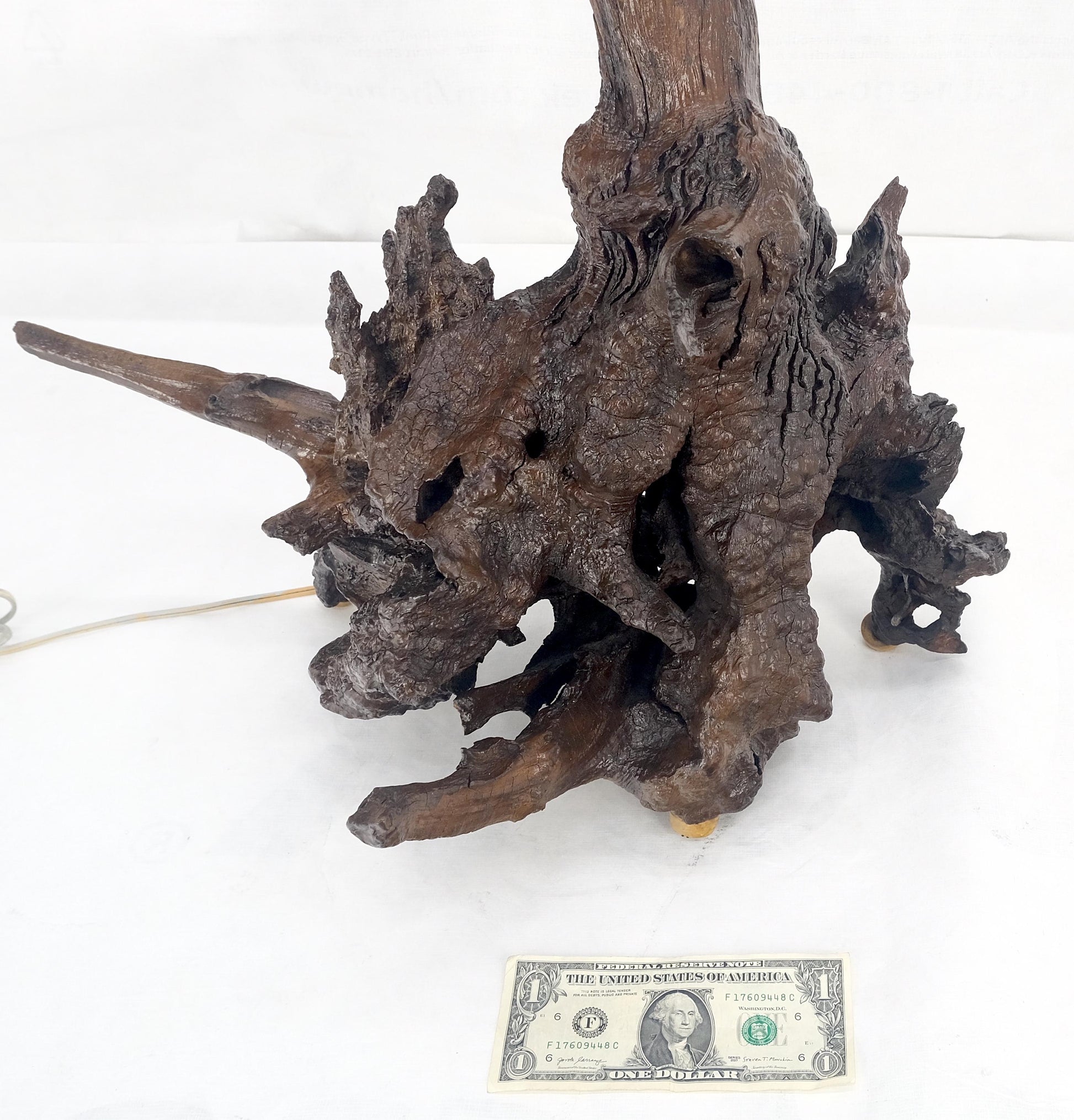 EstablishedLines Large 37" Tall Mid Century Modern Varnished Oiled Driftwood Table Lamp MINT