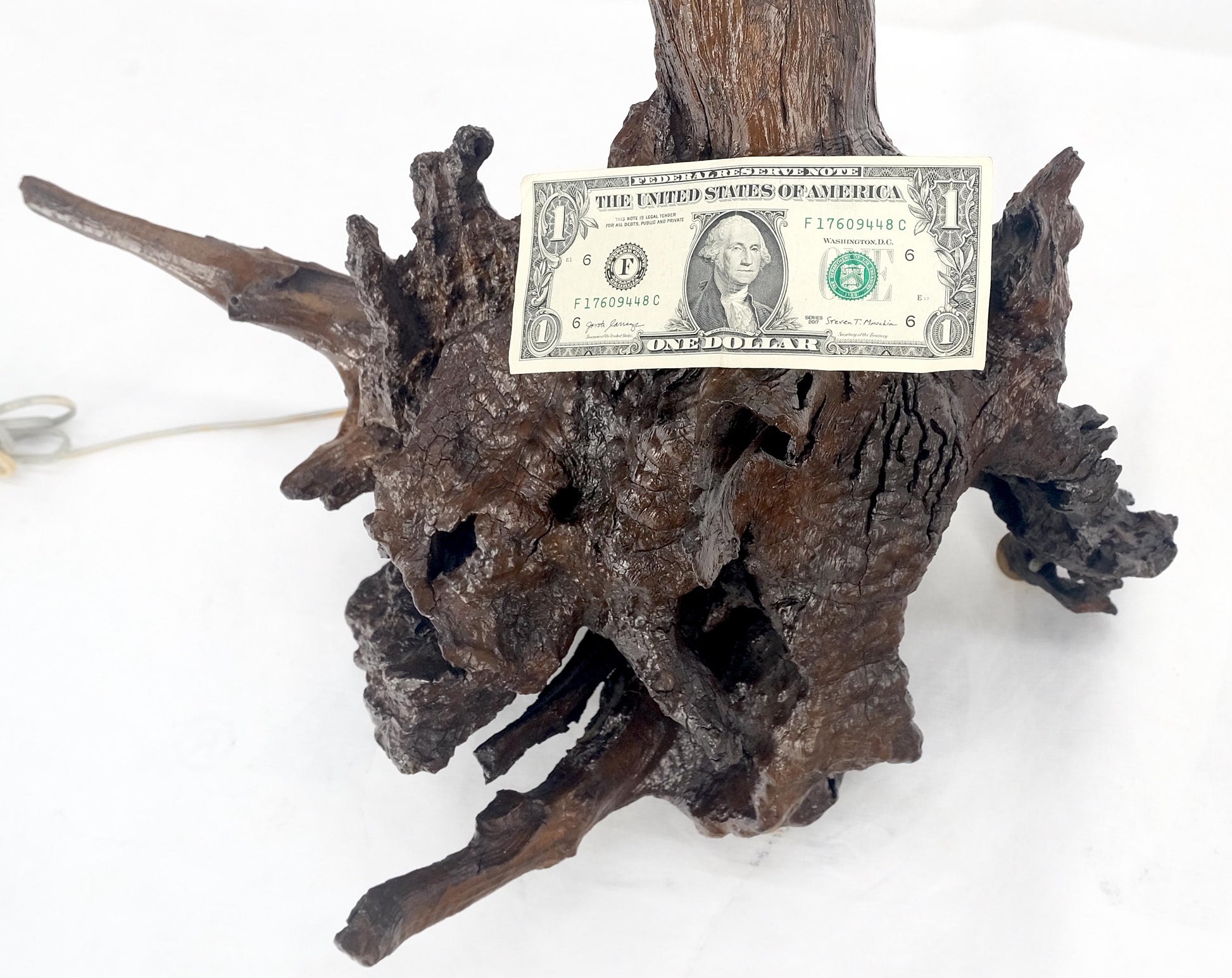 EstablishedLines Large 37" Tall Mid Century Modern Varnished Oiled Driftwood Table Lamp MINT