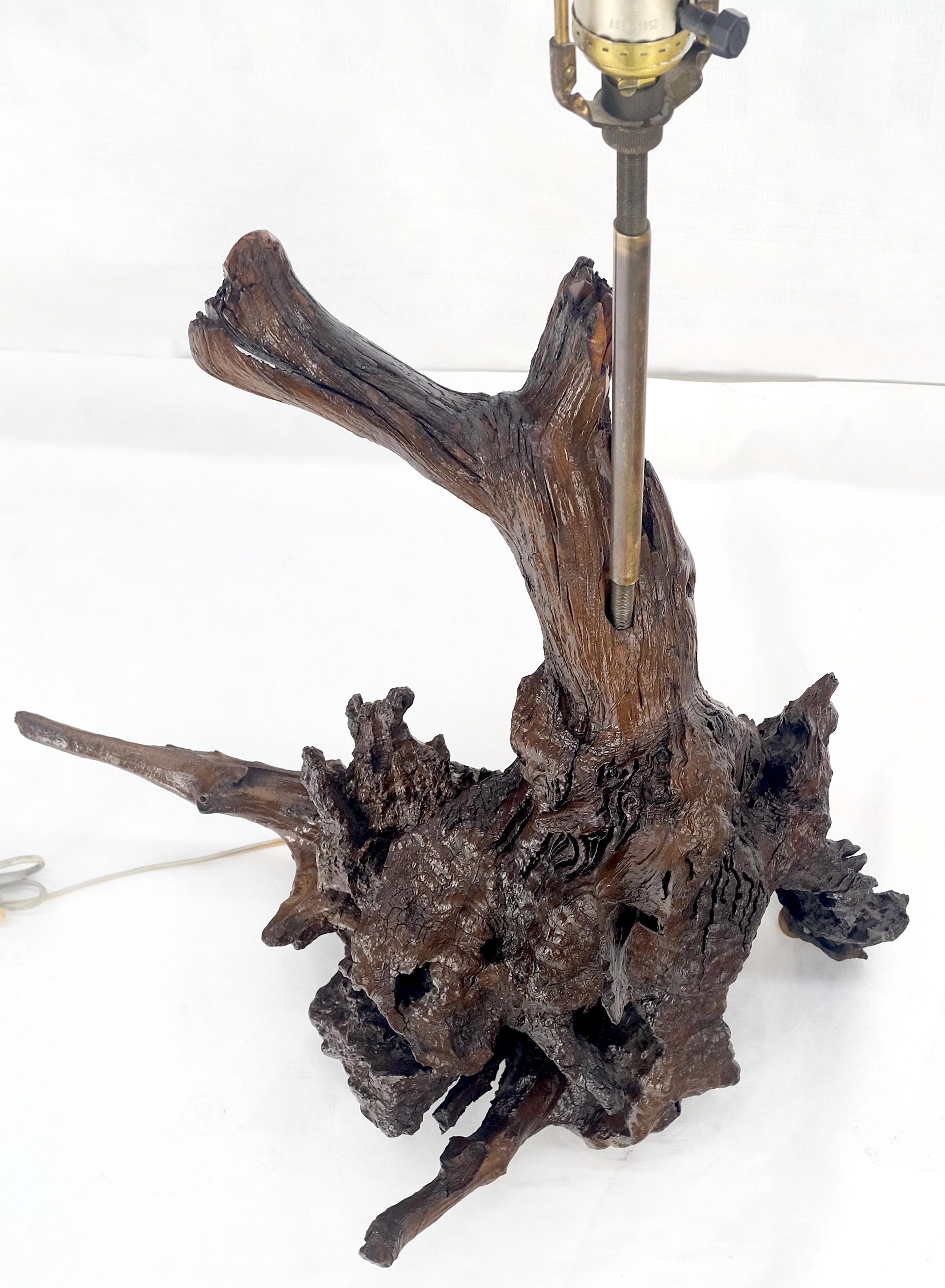 EstablishedLines Large 37" Tall Mid Century Modern Varnished Oiled Driftwood Table Lamp MINT