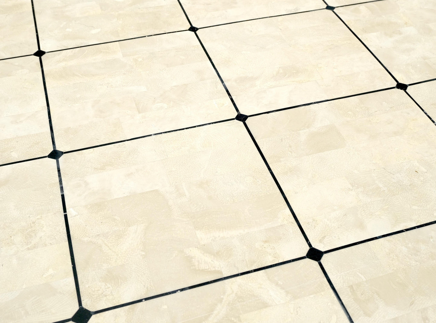 EstablishedLines Tessellated Stone Fossil Top Brass Inlay Square Coffee Table on Cabriole Legs