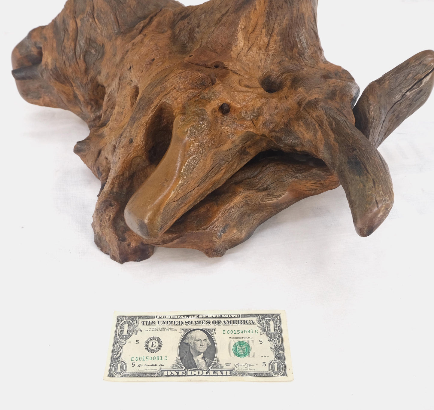EstablishedLines Large 25" Tall Artist Signed Driftwood Root Burl Wood Natural Sculpture NICE!