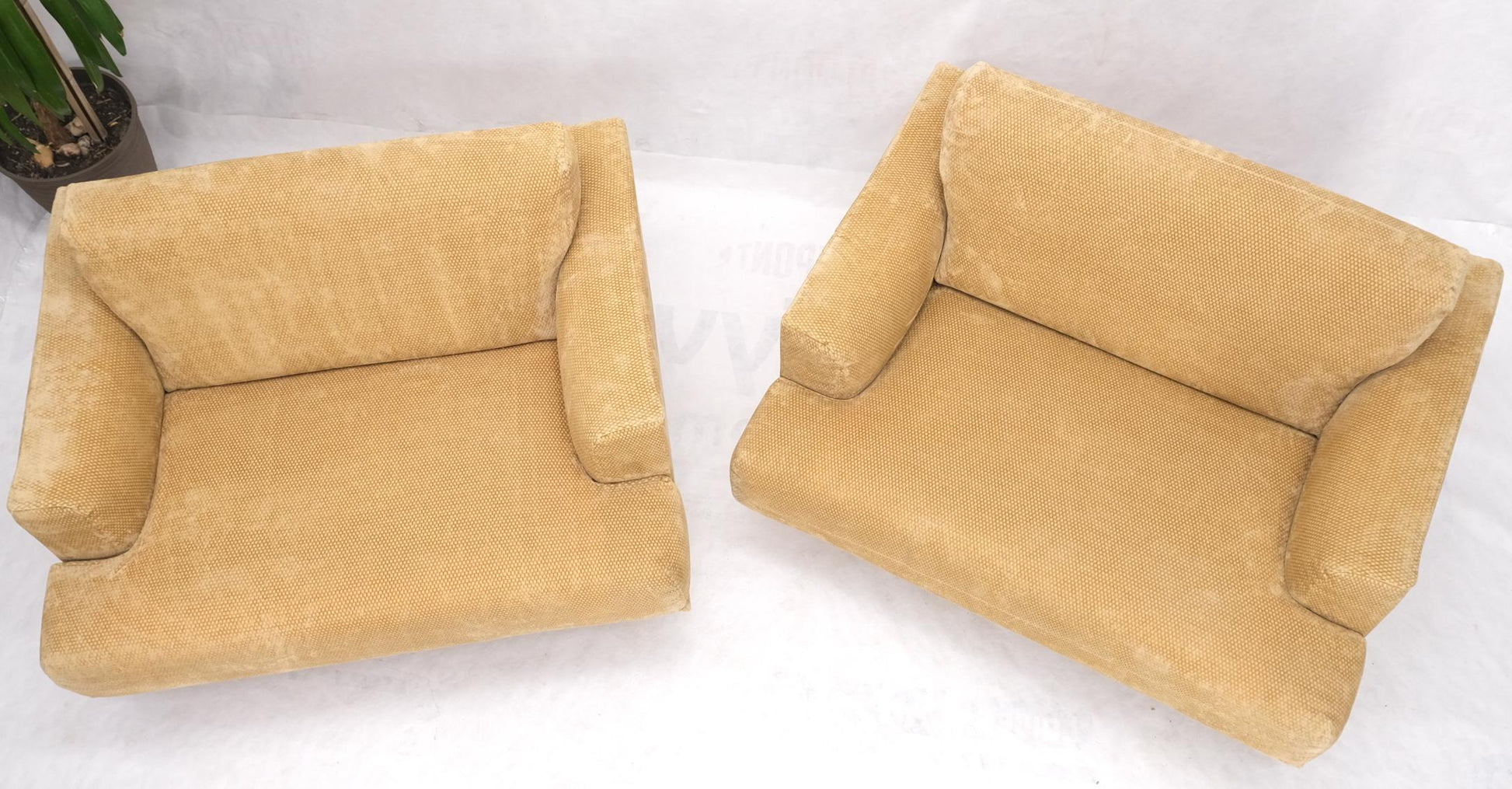 EstablishedLines Pair of Wide Seat Almost Sattee Width Lounge Chairs by Cassina