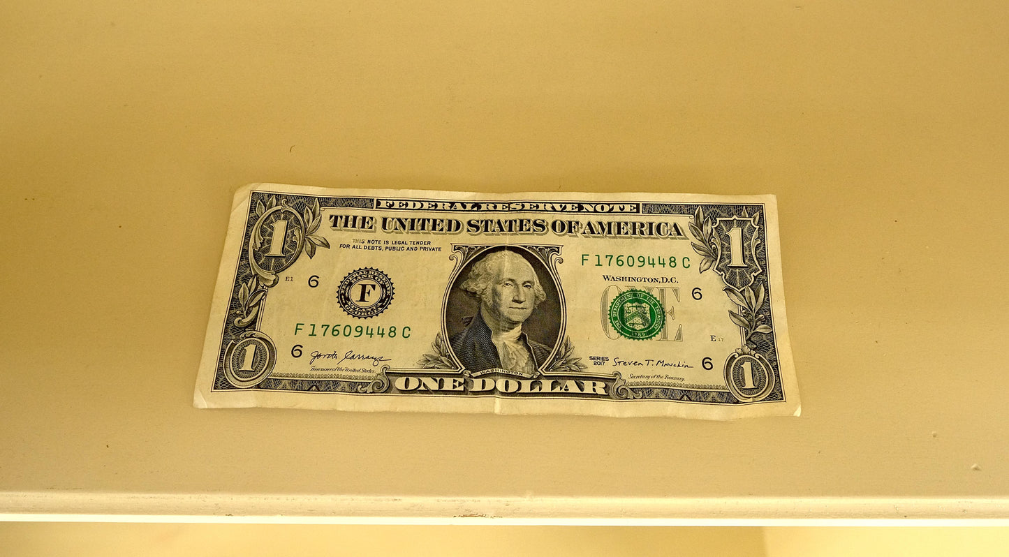 EstablishedLines 7' Tall Bubble Glass Double Doors Adjustable Shelves Bookcase Display Cabinet