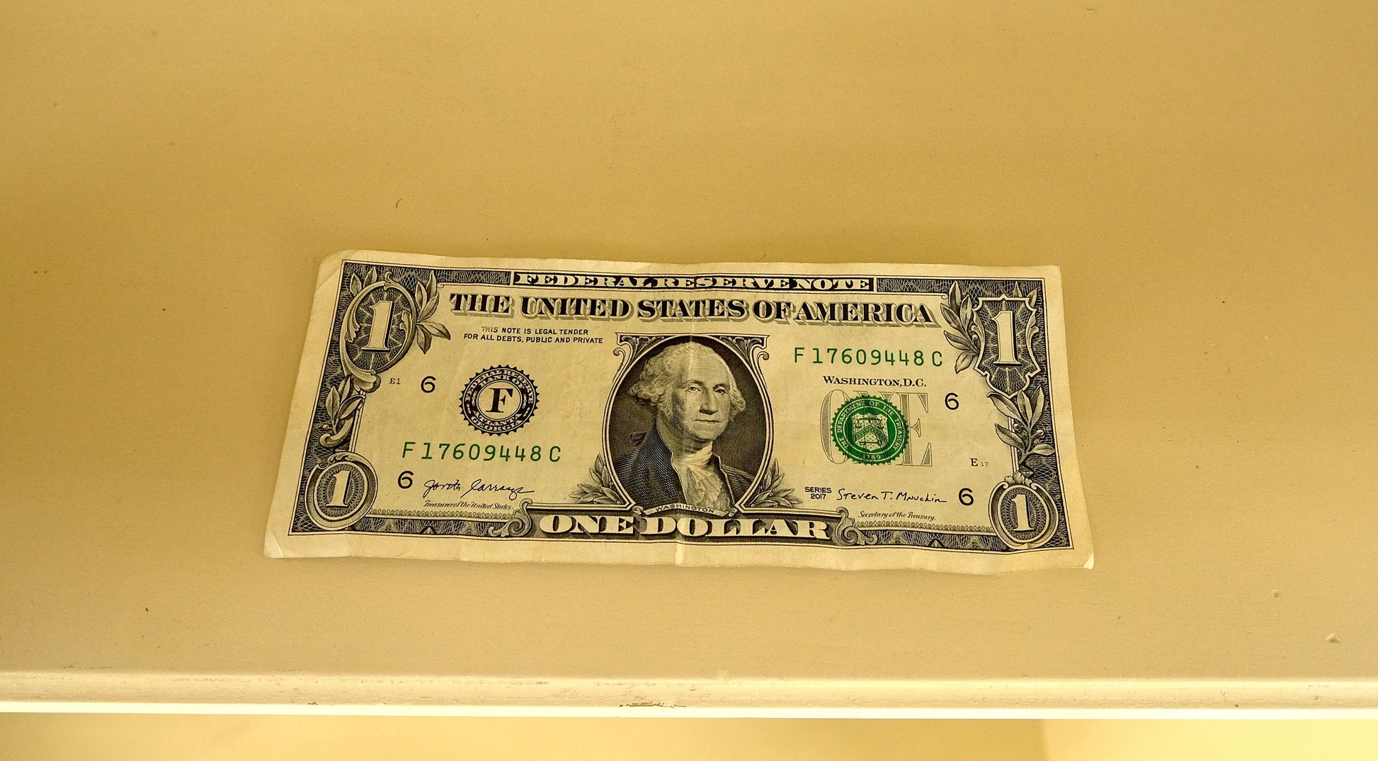 EstablishedLines 7' Tall Bubble Glass Double Doors Adjustable Shelves Bookcase Display Cabinet