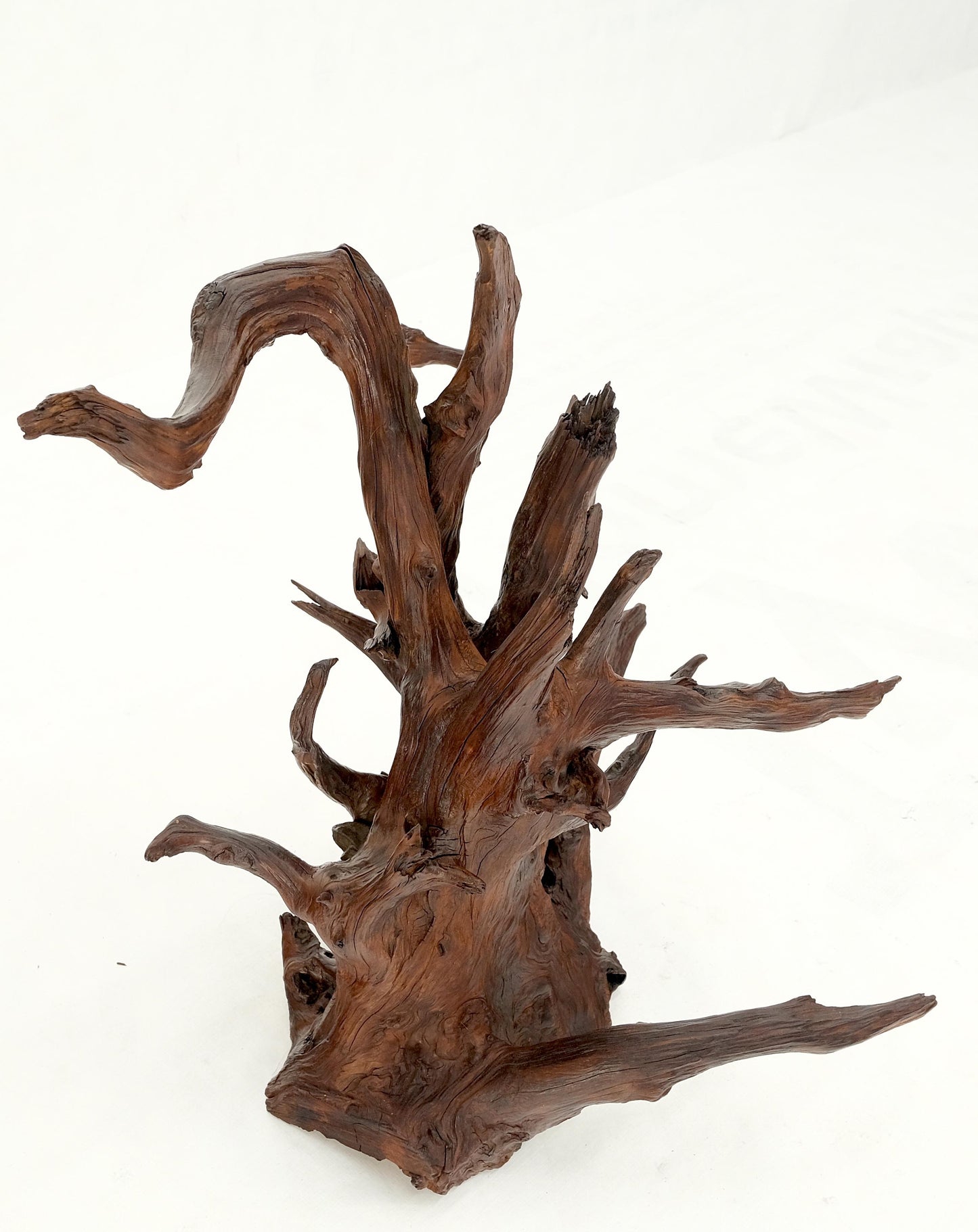 EstablishedLines Solid Driftwood Root Sculpture Organic Jewerly Display Nice Patina & Shape Mint!
