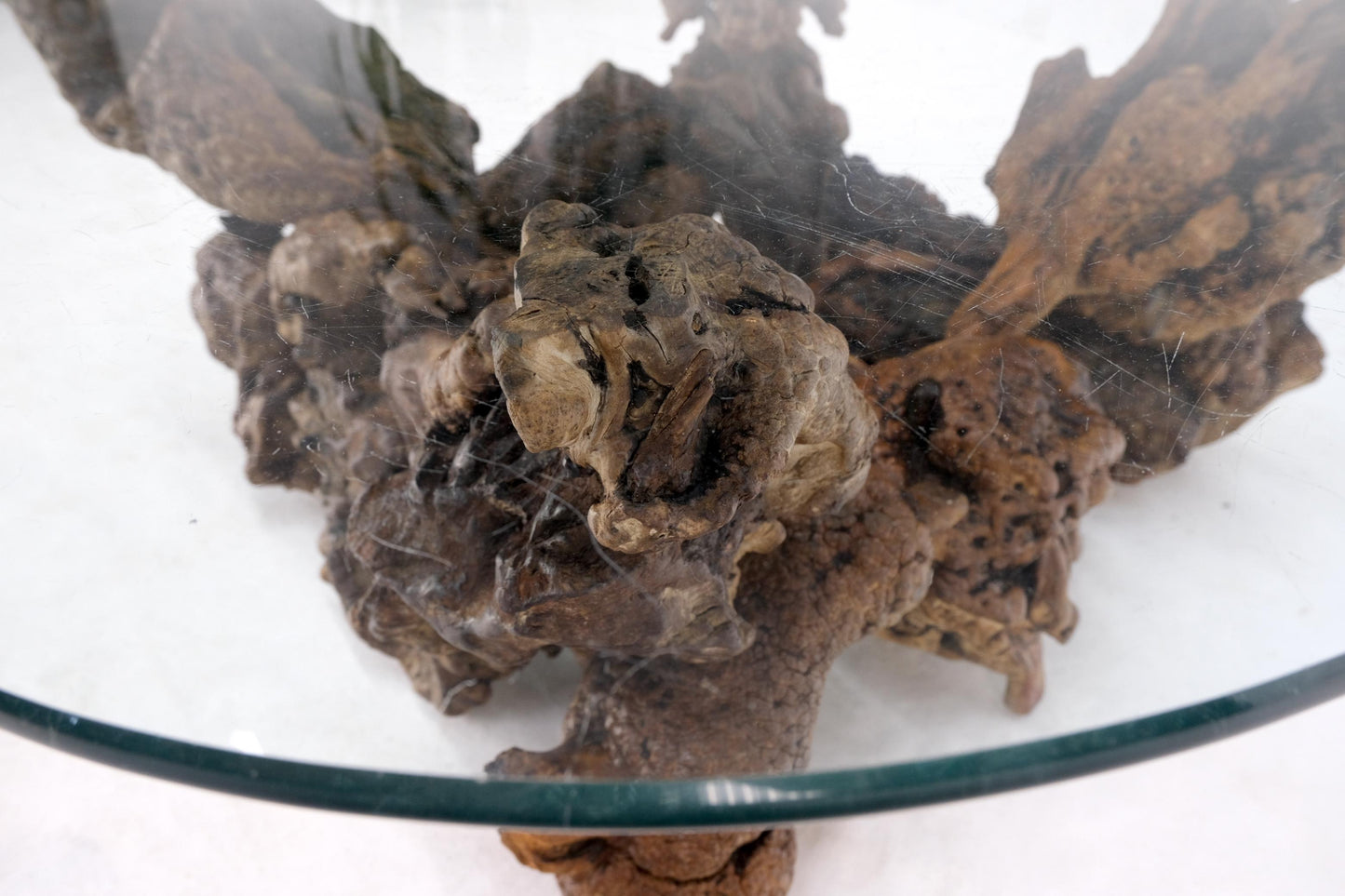 EstablishedLines Burl Wood Root Organic Base Large Rounded Square Glass Top Coffee Center Table