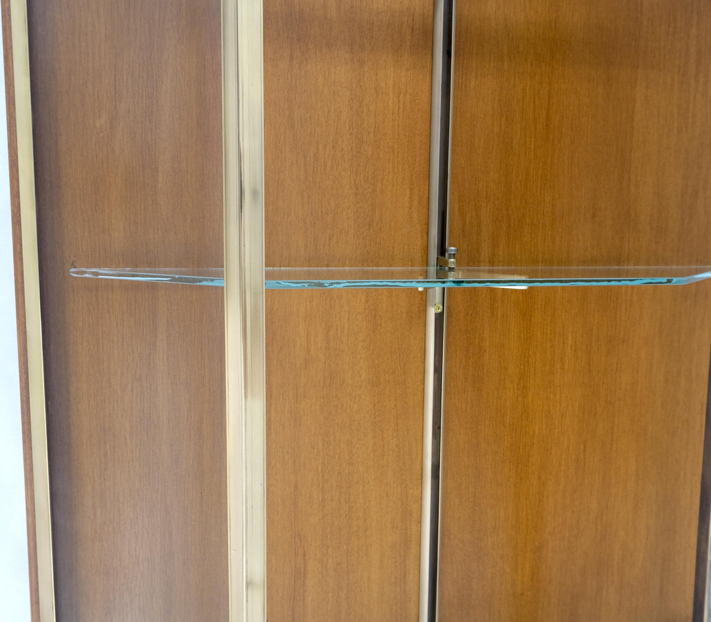 EstablishedLines Brass Glass Hanging Single Door Wall "Picture" Hanging Showcase Display Shelves
