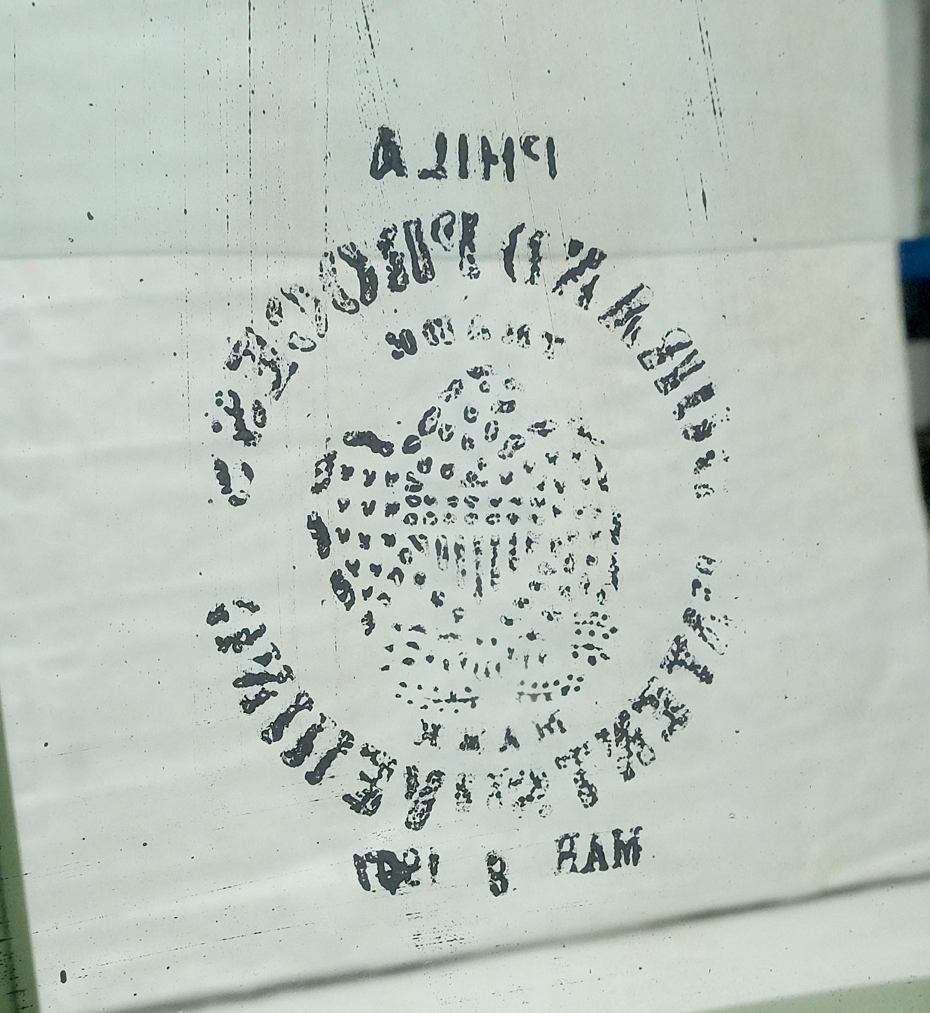 EstablishedLines 1920s Curved Glass Light Olive Tone Lacquer Finish Curio Display Cabinet MINT!