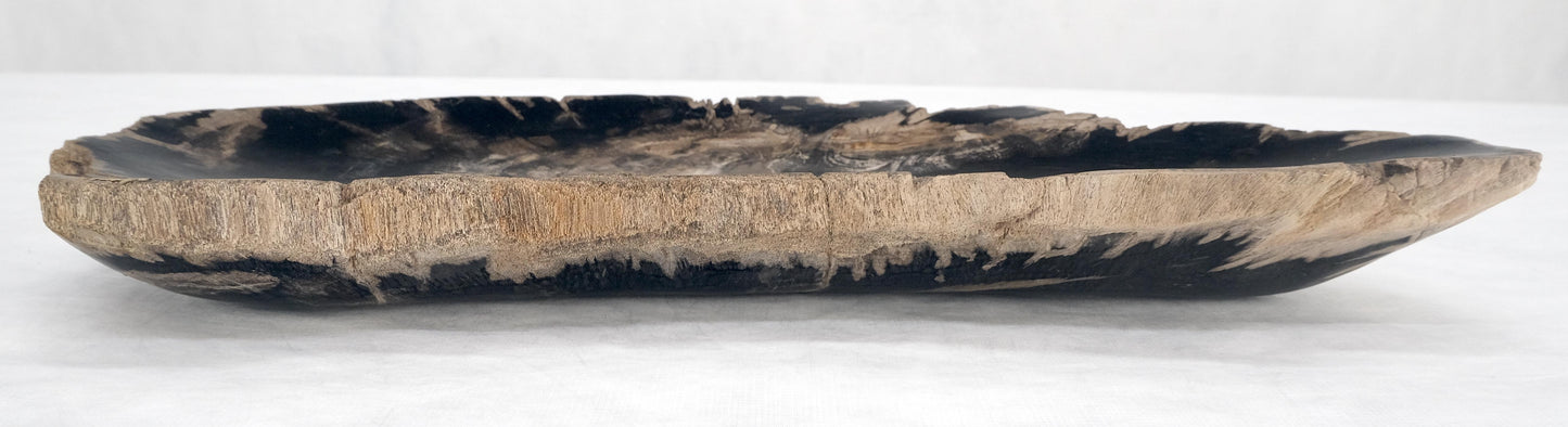 EstablishedLines Organic Elongated Black & Tan Petrified Wood Tray Bowl Dish Plate Ashtray MINT