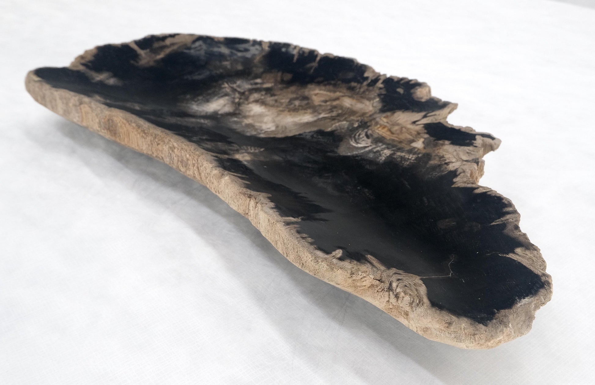 EstablishedLines Organic Elongated Black & Tan Petrified Wood Tray Bowl Dish Plate Ashtray MINT