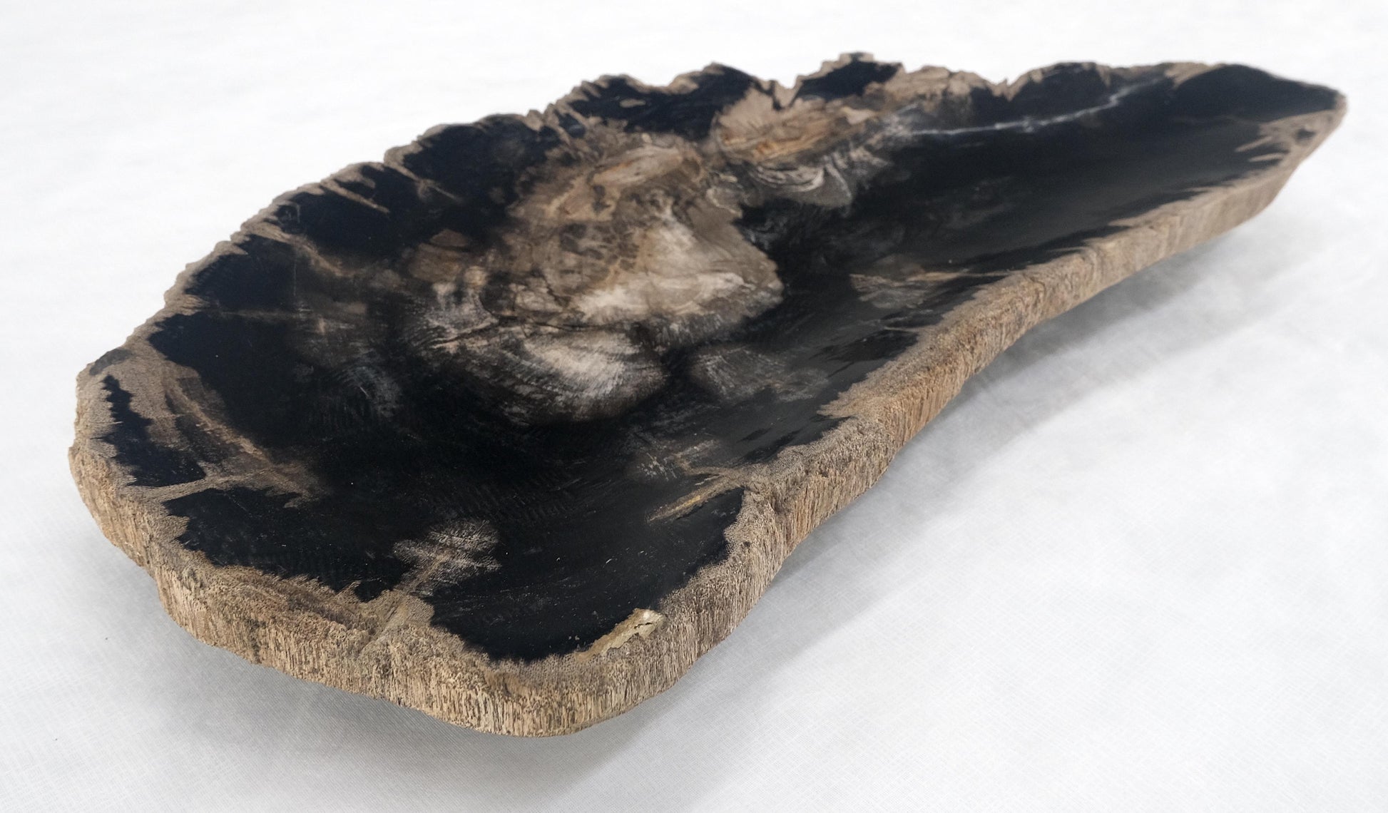 EstablishedLines Organic Elongated Black & Tan Petrified Wood Tray Bowl Dish Plate Ashtray MINT