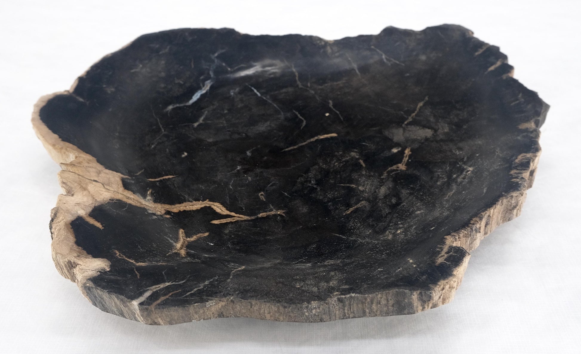 EstablishedLines Organic Leaf Shape Black & Tan Petrified Wood Tray Bowl Dish Plate Ashtray