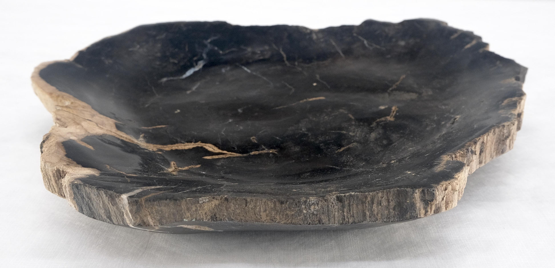 EstablishedLines Organic Leaf Shape Black & Tan Petrified Wood Tray Bowl Dish Plate Ashtray