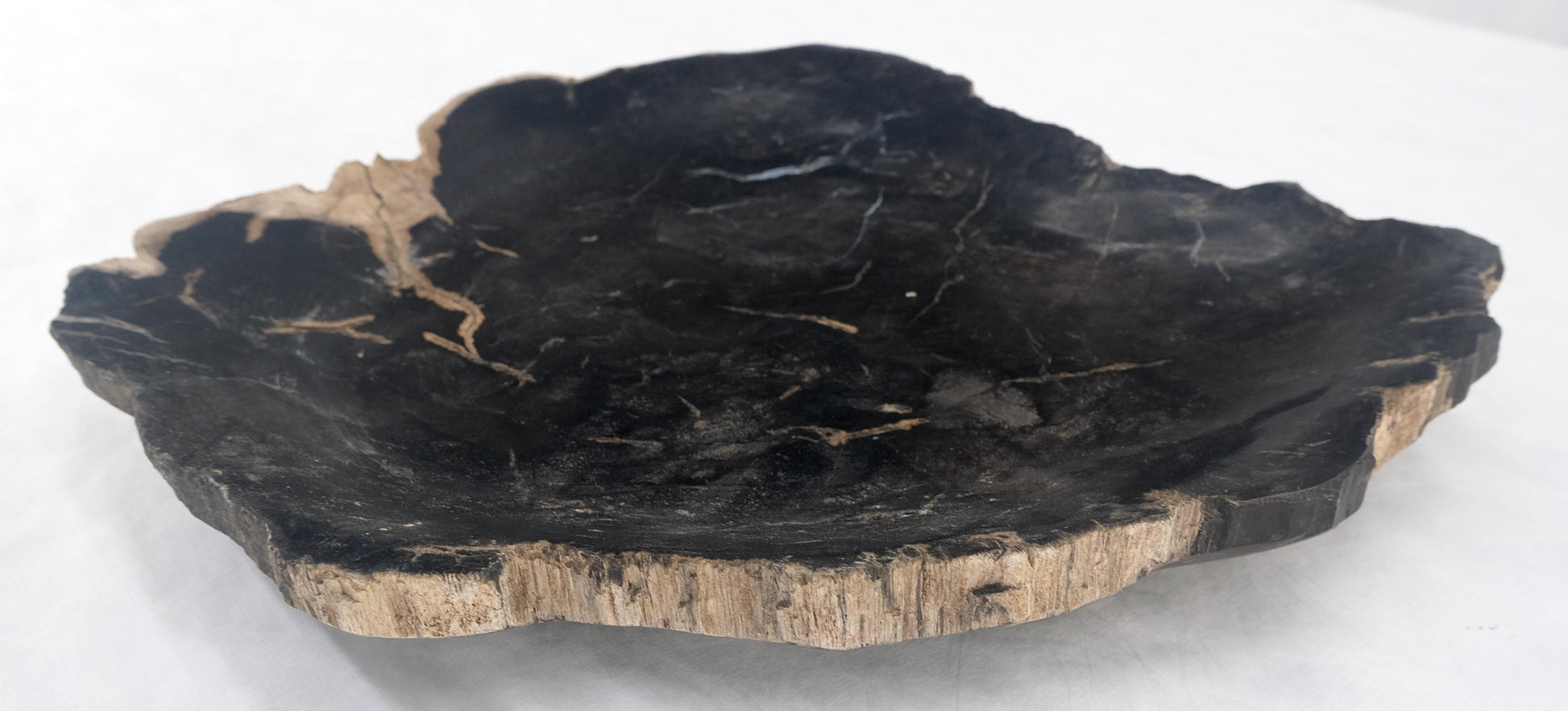 EstablishedLines Organic Leaf Shape Black & Tan Petrified Wood Tray Bowl Dish Plate Ashtray