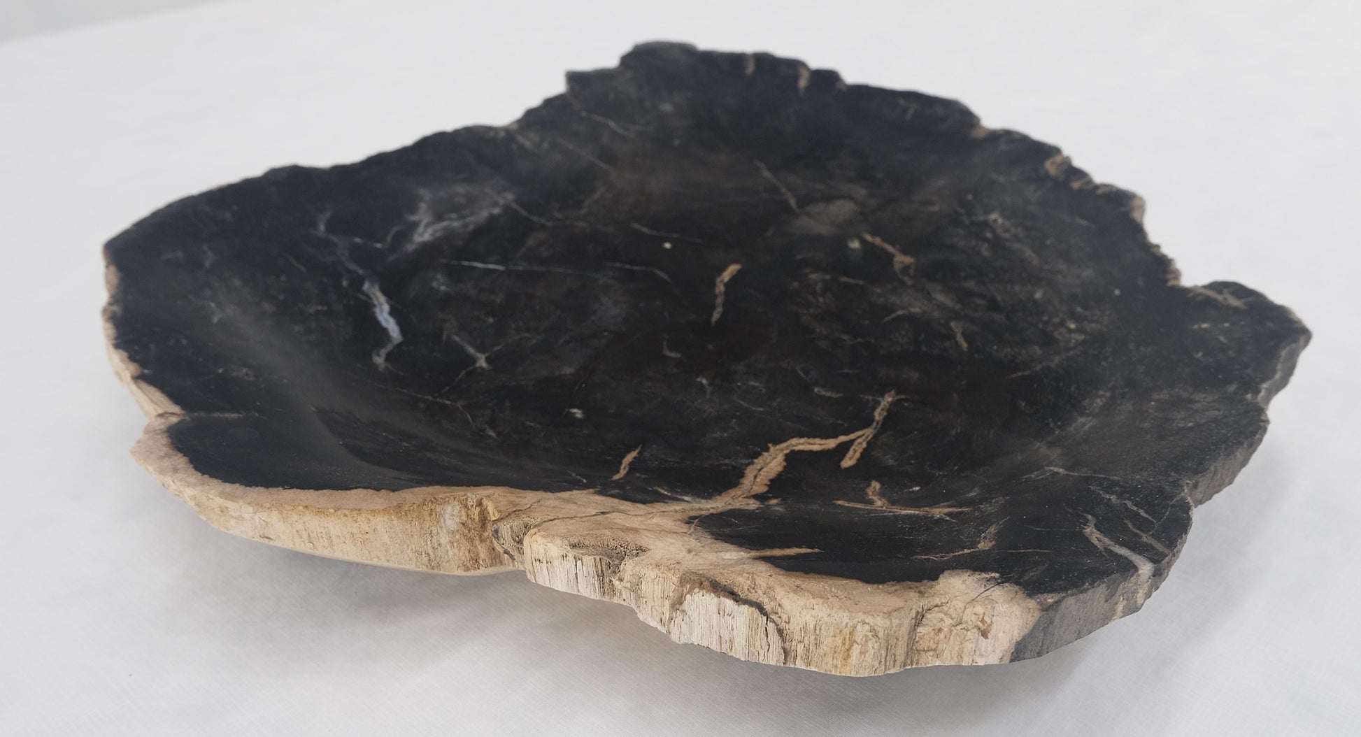 EstablishedLines Organic Leaf Shape Black & Tan Petrified Wood Tray Bowl Dish Plate Ashtray