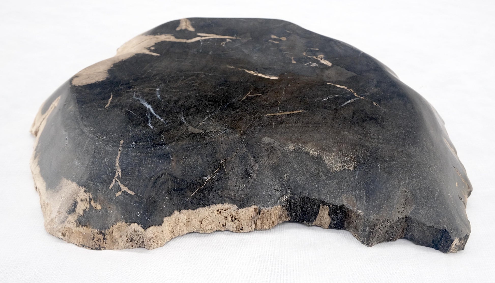 EstablishedLines Organic Leaf Shape Black & Tan Petrified Wood Tray Bowl Dish Plate Ashtray