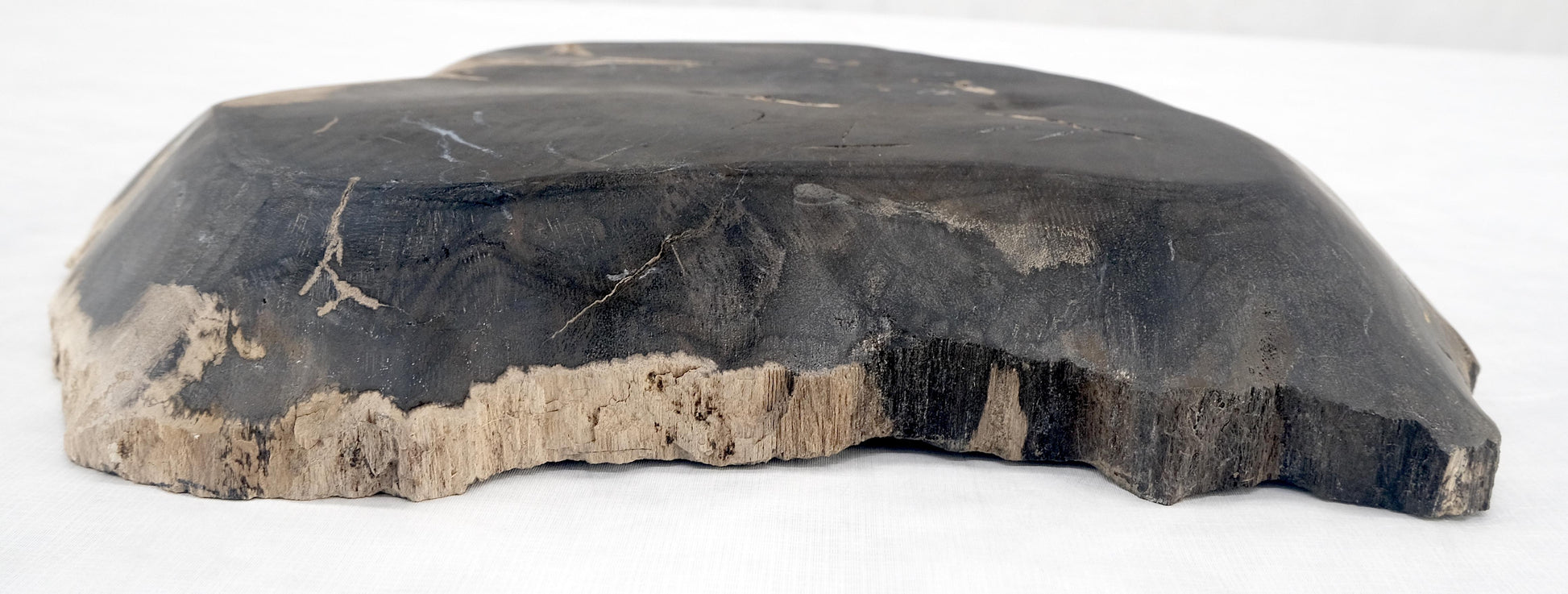 EstablishedLines Organic Leaf Shape Black & Tan Petrified Wood Tray Bowl Dish Plate Ashtray