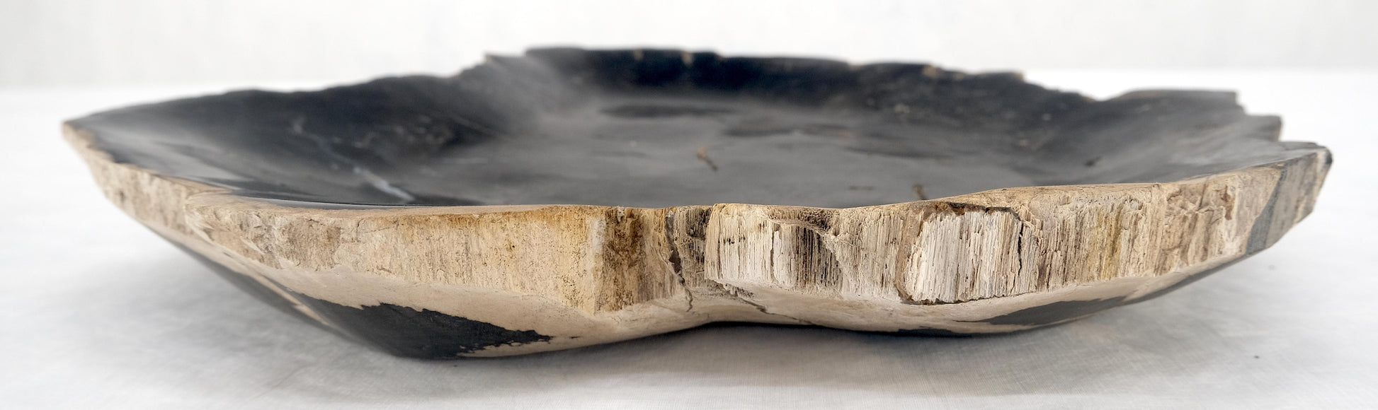 EstablishedLines Organic Leaf Shape Black & Tan Petrified Wood Tray Bowl Dish Plate Ashtray