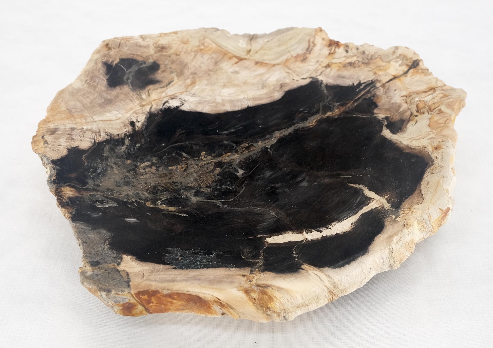 EstablishedLines Organic Leaf Shape Black & Tan Petrified Wood Tray Bowl Dish Plate Ashtray MINT