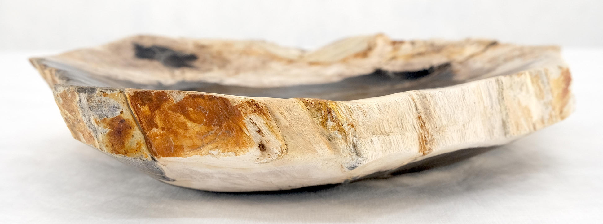 EstablishedLines Organic Leaf Shape Black & Tan Petrified Wood Tray Bowl Dish Plate Ashtray MINT