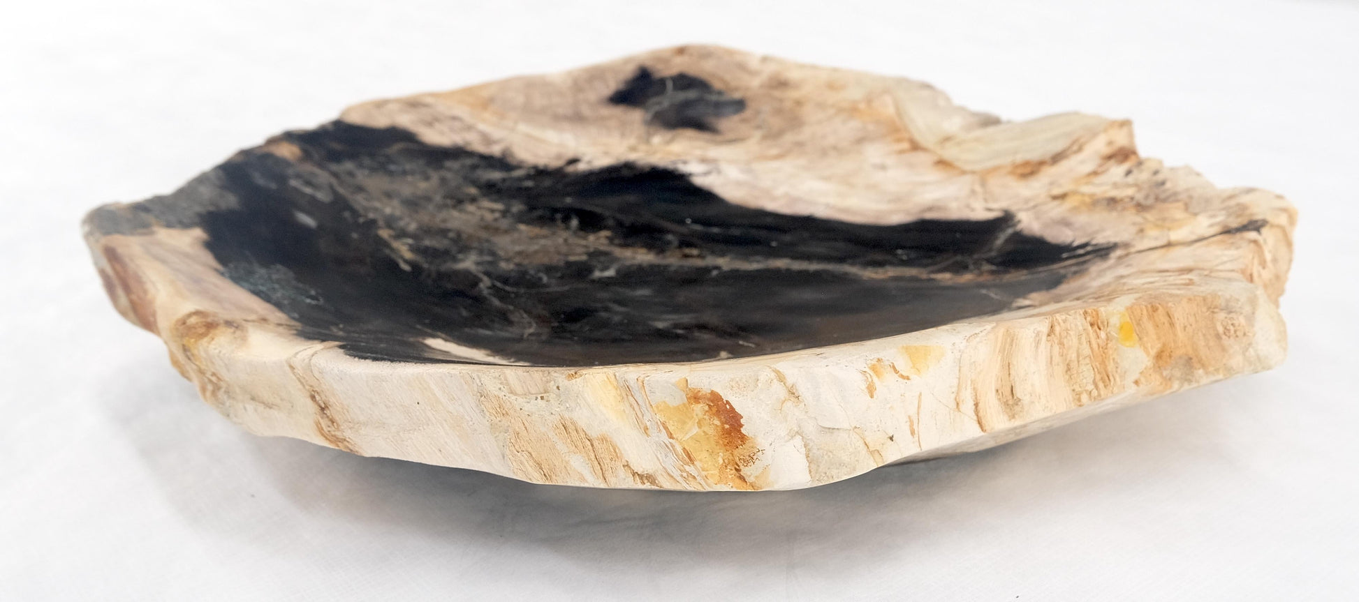 EstablishedLines Organic Leaf Shape Black & Tan Petrified Wood Tray Bowl Dish Plate Ashtray MINT
