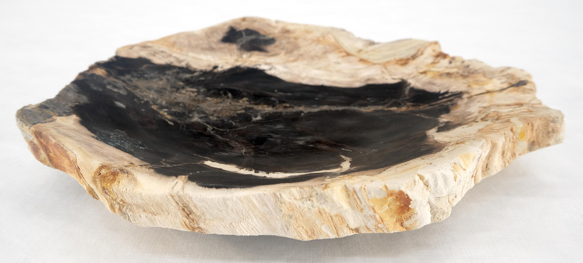 EstablishedLines Organic Leaf Shape Black & Tan Petrified Wood Tray Bowl Dish Plate Ashtray MINT