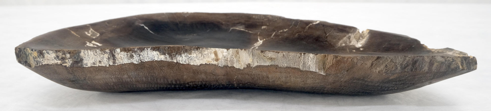 EstablishedLines Organic Liver Shape Black & Tan Petrified Wood Tray Bowl Dish Plate Ashtray MINT