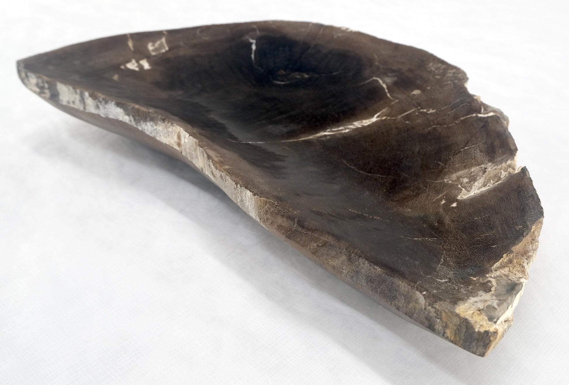 EstablishedLines Organic Liver Shape Black & Tan Petrified Wood Tray Bowl Dish Plate Ashtray MINT