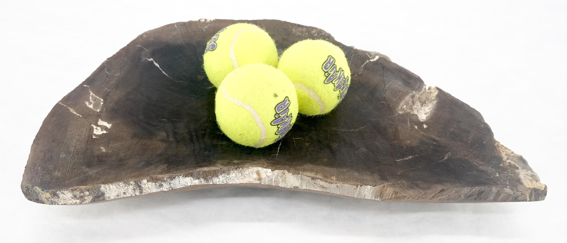 EstablishedLines Organic Liver Shape Black & Tan Petrified Wood Tray Bowl Dish Plate Ashtray MINT