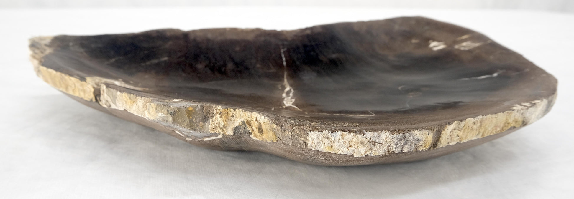 EstablishedLines Organic Liver Shape Black & Tan Petrified Wood Tray Bowl Dish Plate Ashtray MINT