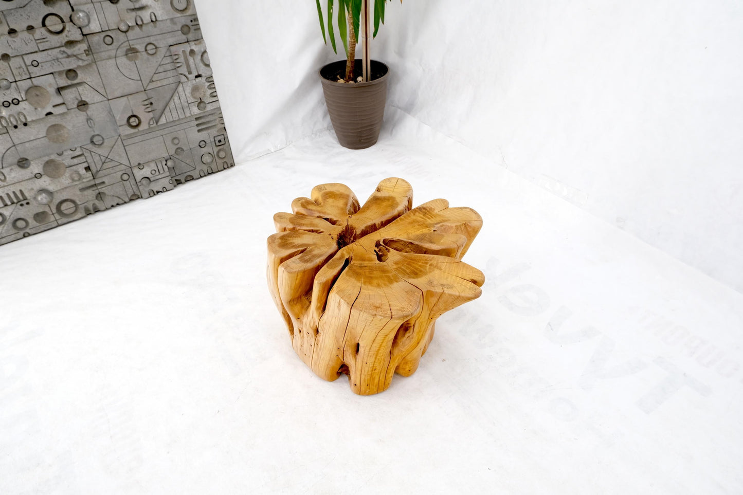 EstablishedLines Large Pedestal Natural Blond Wood Tree Stump Base Round Glass Top Coffee Table