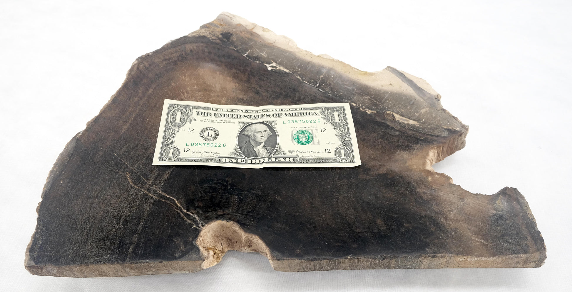 EstablishedLines Organic Triangle Shape Black & Tan Petrified Wood Tray Bowl Dish Plate Ashtray