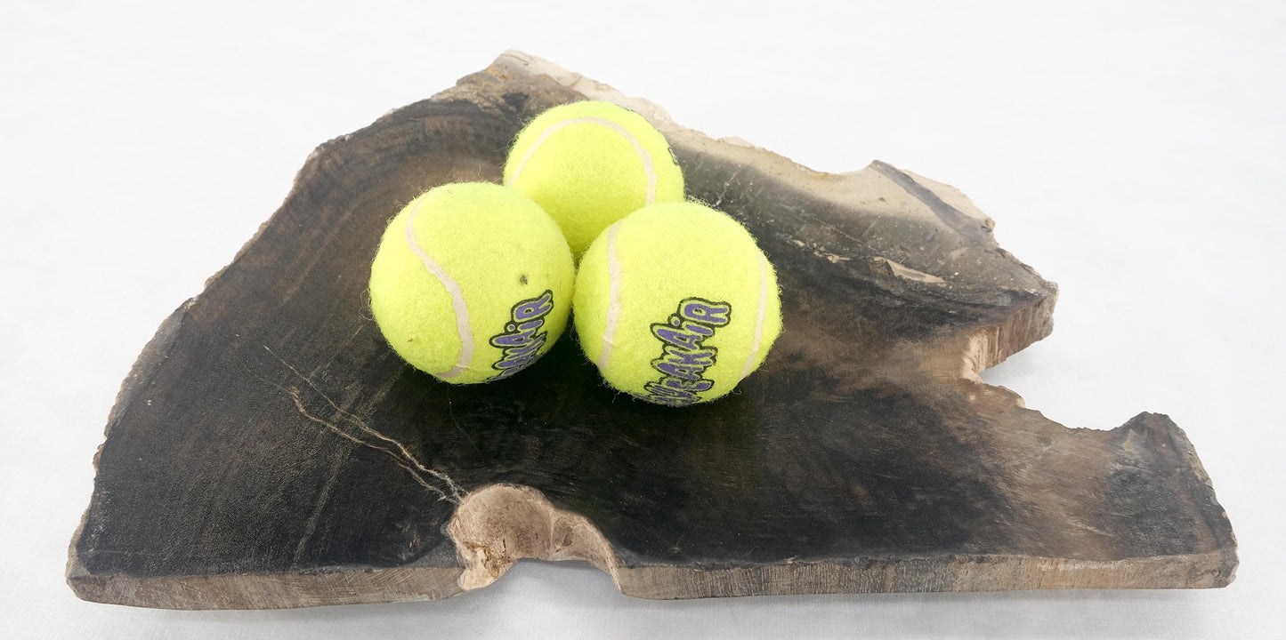 EstablishedLines Organic Triangle Shape Black & Tan Petrified Wood Tray Bowl Dish Plate Ashtray