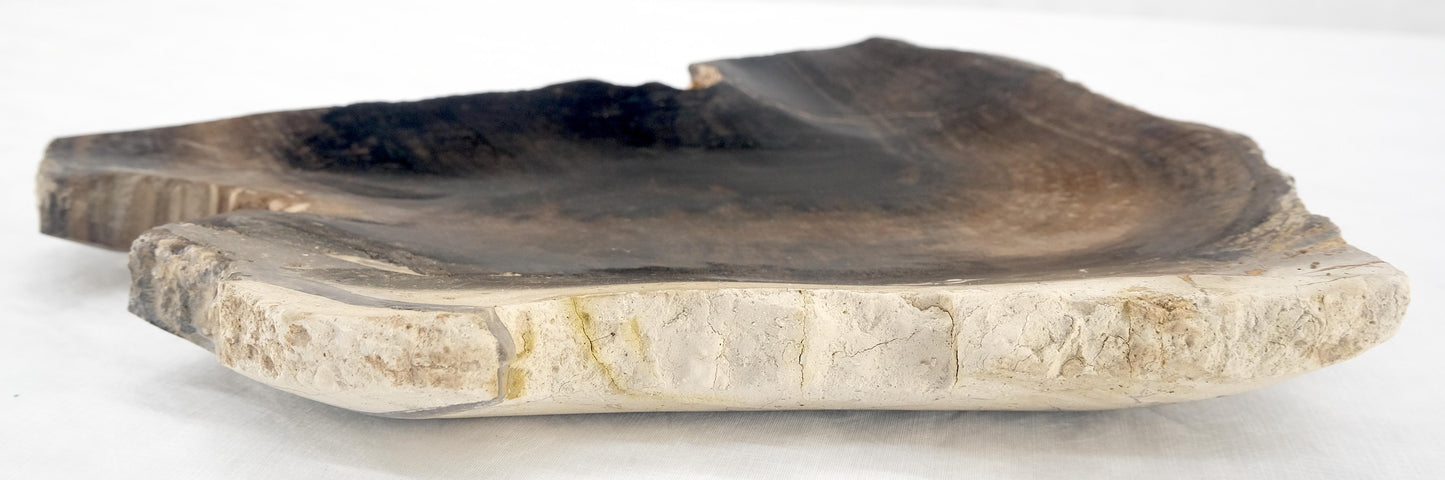 EstablishedLines Organic Triangle Shape Black & Tan Petrified Wood Tray Bowl Dish Plate Ashtray