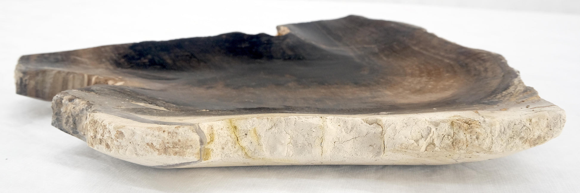 EstablishedLines Organic Triangle Shape Black & Tan Petrified Wood Tray Bowl Dish Plate Ashtray