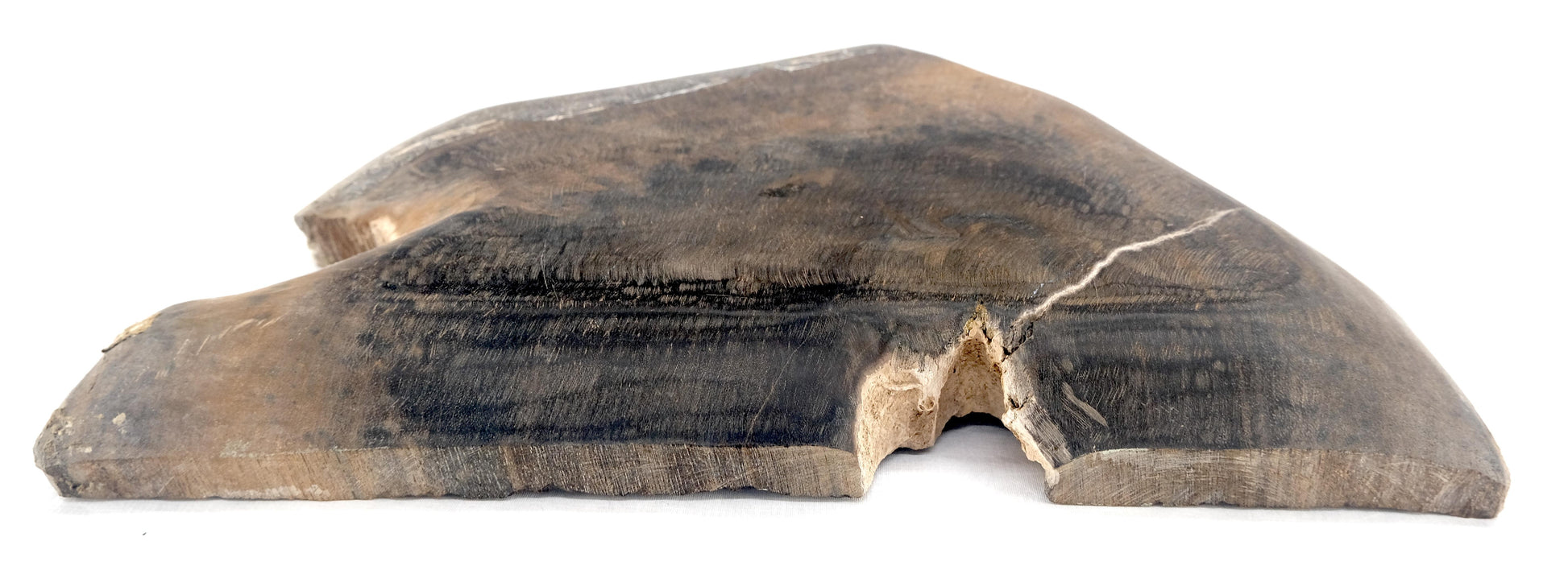 EstablishedLines Organic Triangle Shape Black & Tan Petrified Wood Tray Bowl Dish Plate Ashtray