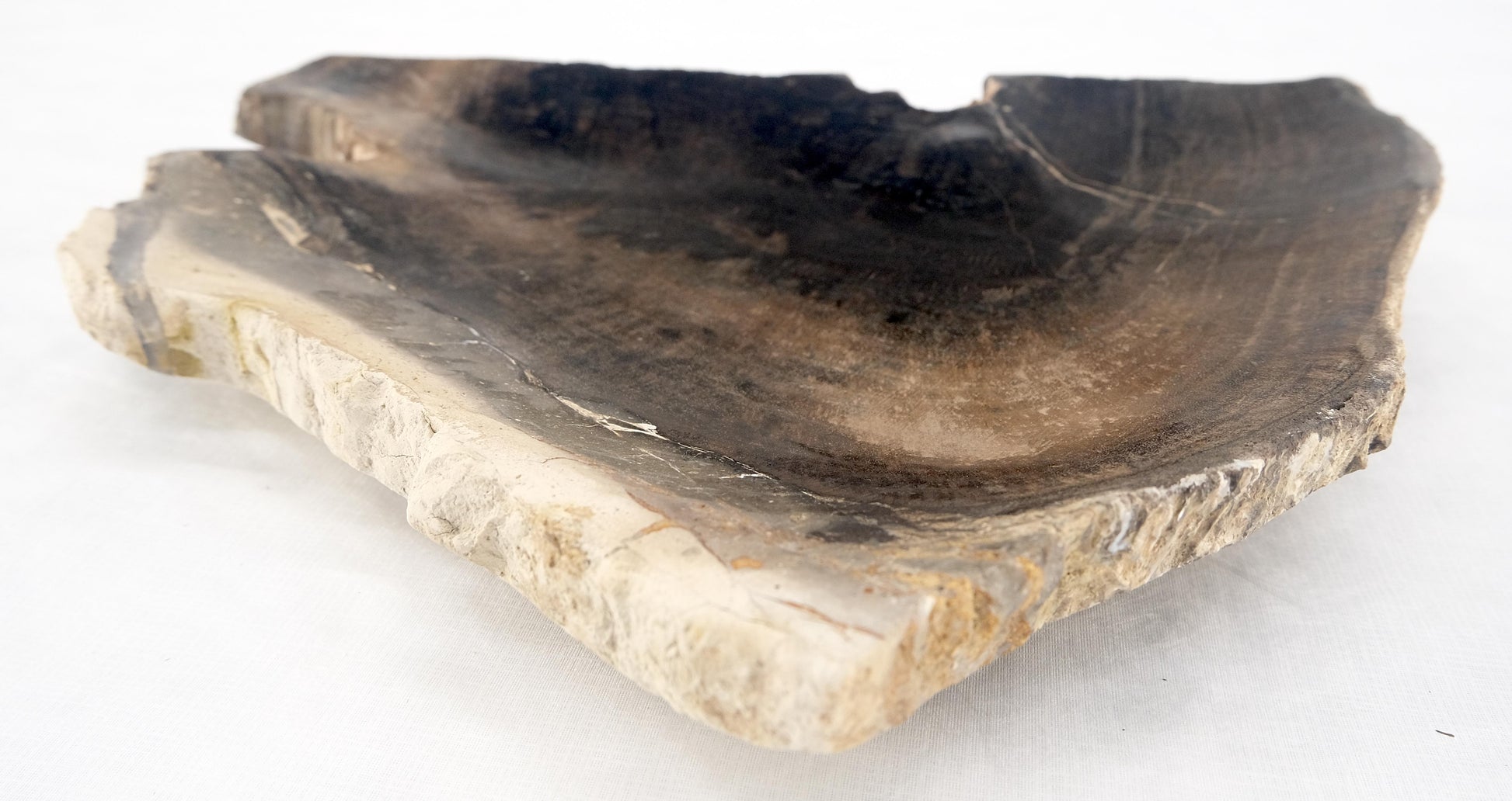 EstablishedLines Organic Triangle Shape Black & Tan Petrified Wood Tray Bowl Dish Plate Ashtray