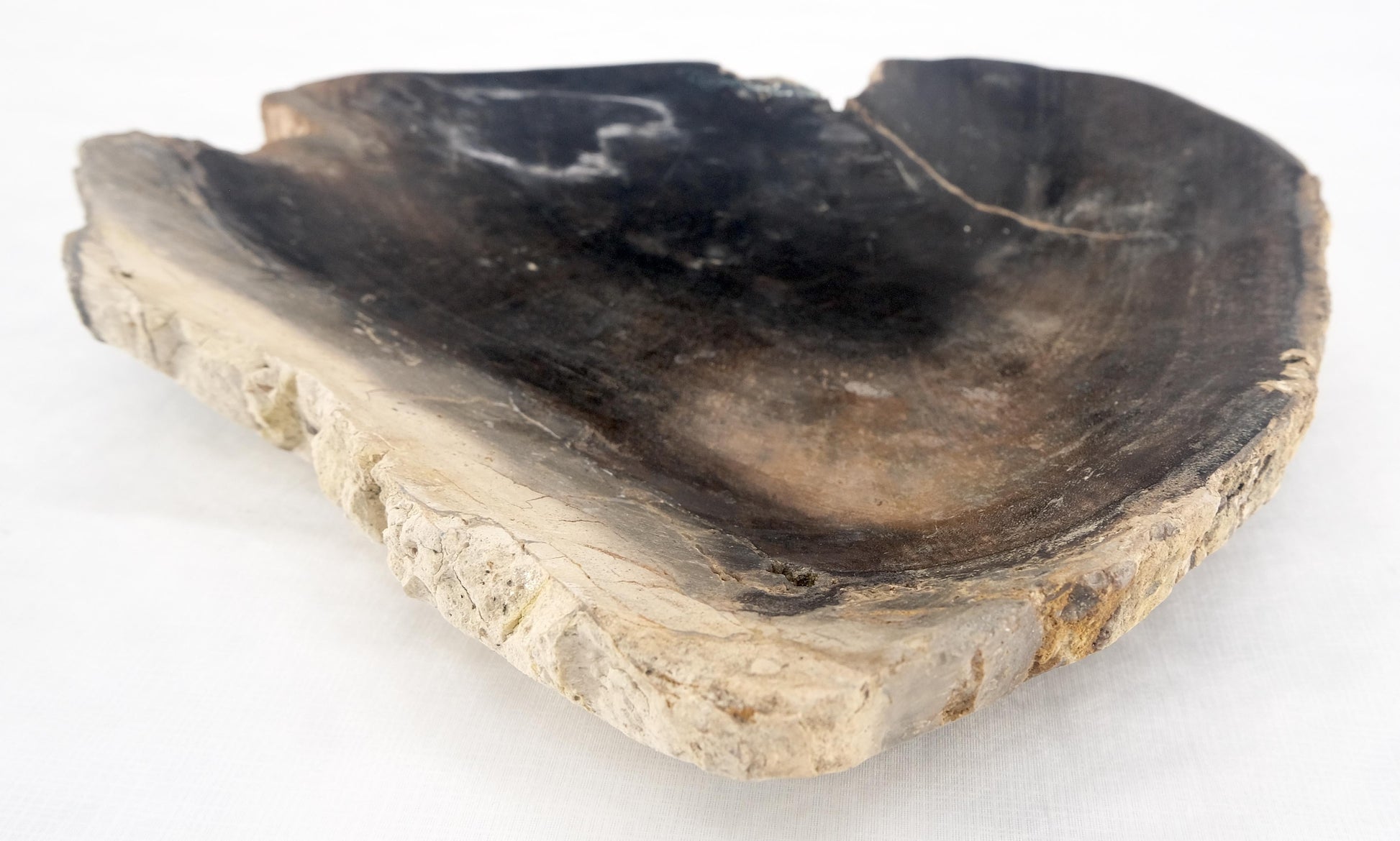 EstablishedLines Organic Triangle Shape  Black & Tan Petrified Wood Tray Bowl Dish Plate Ashtray
