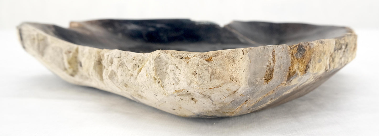 EstablishedLines Organic Triangle Shape  Black & Tan Petrified Wood Tray Bowl Dish Plate Ashtray