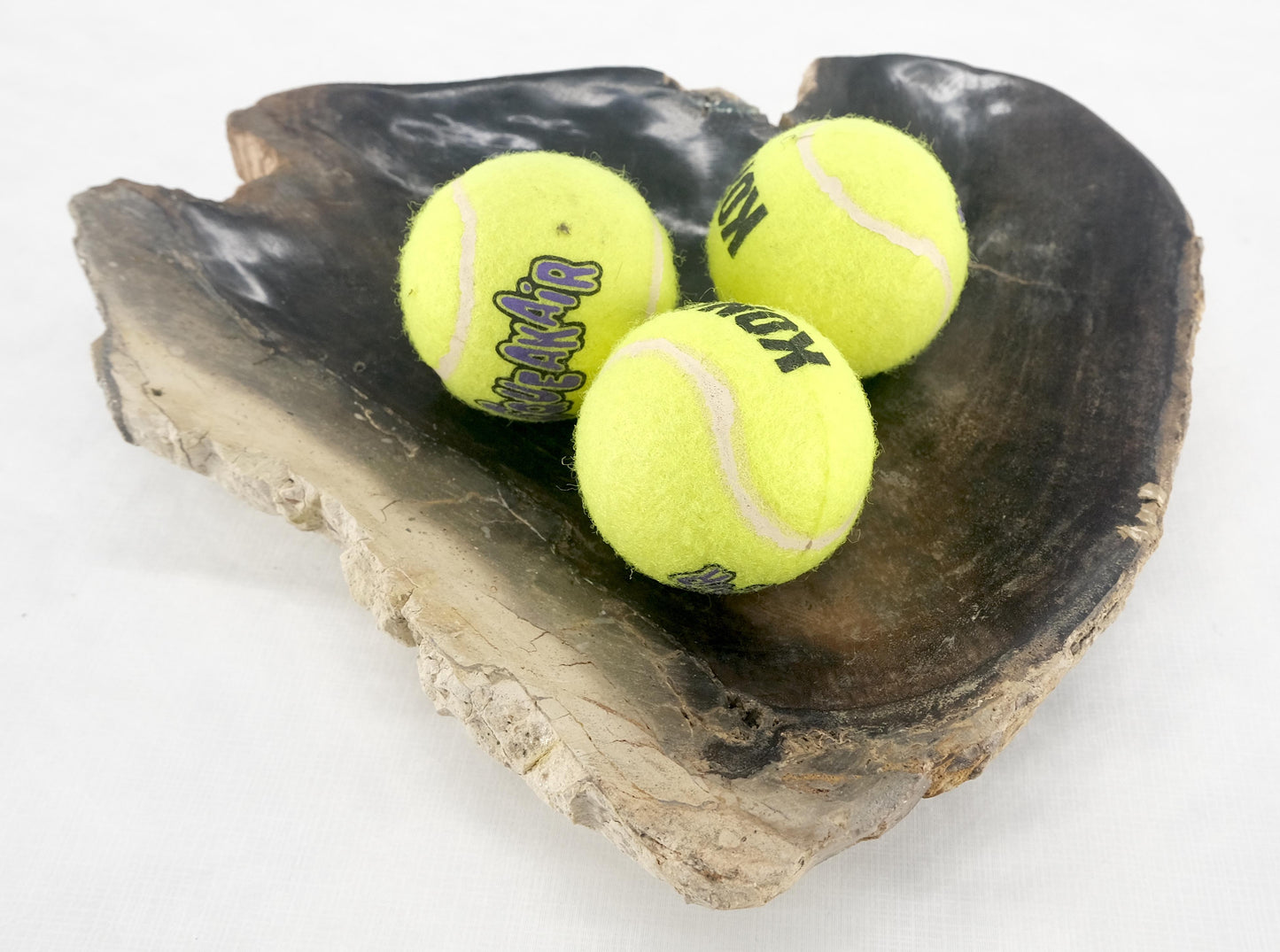 EstablishedLines Organic Triangle Shape  Black & Tan Petrified Wood Tray Bowl Dish Plate Ashtray