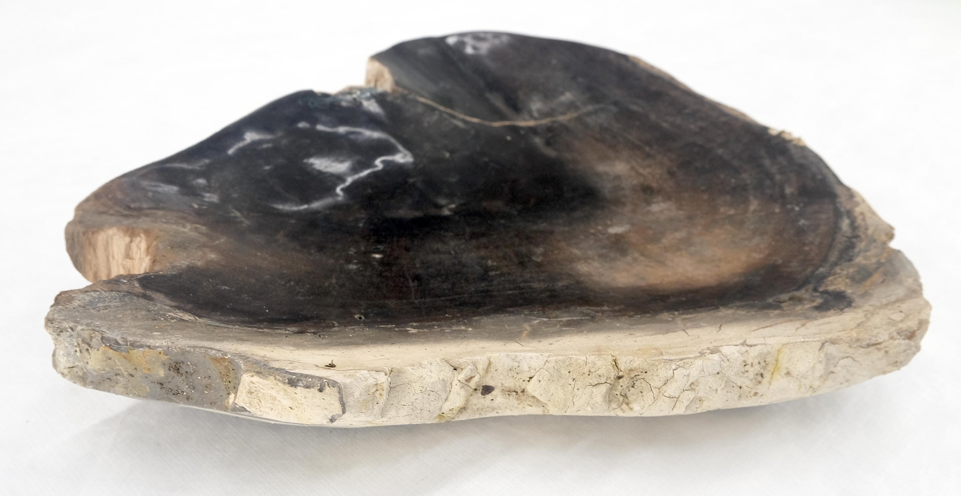 EstablishedLines Organic Triangle Shape  Black & Tan Petrified Wood Tray Bowl Dish Plate Ashtray