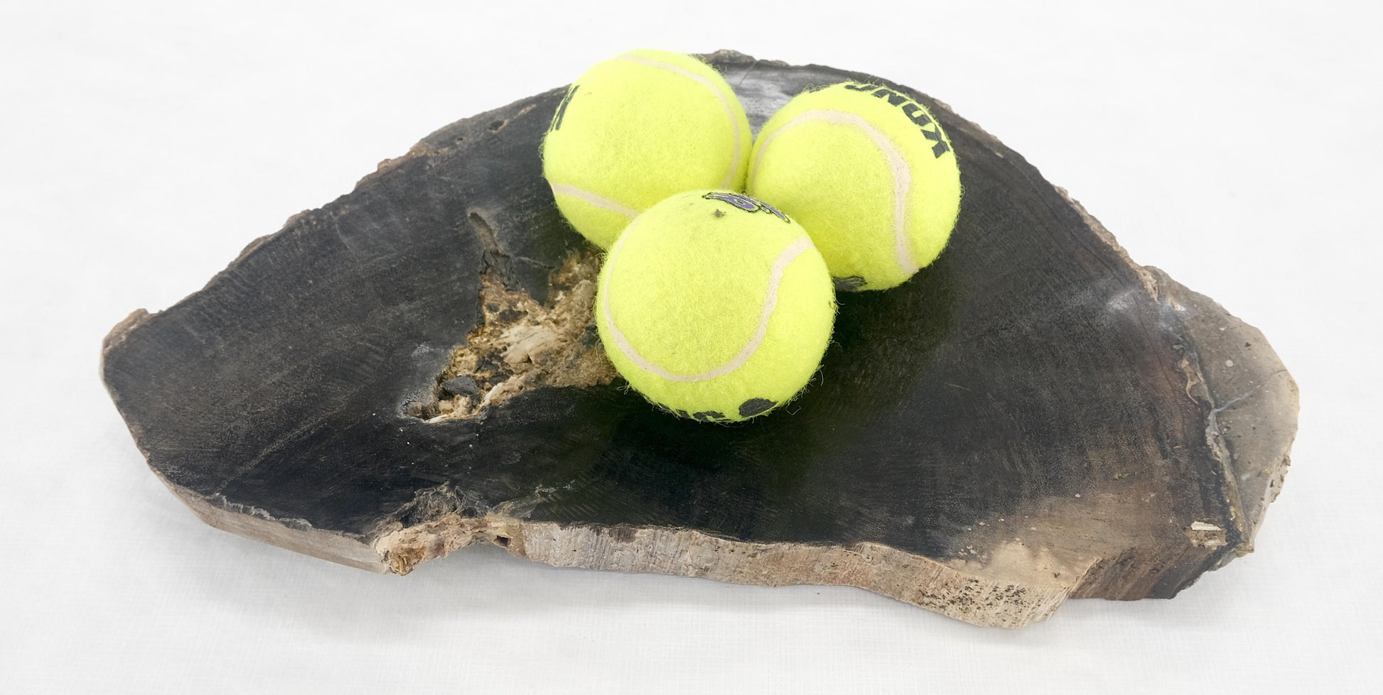 EstablishedLines Organic Half round Shape Black & Tan Petrified Wood Tray Bowl Dish Plate Ashtray
