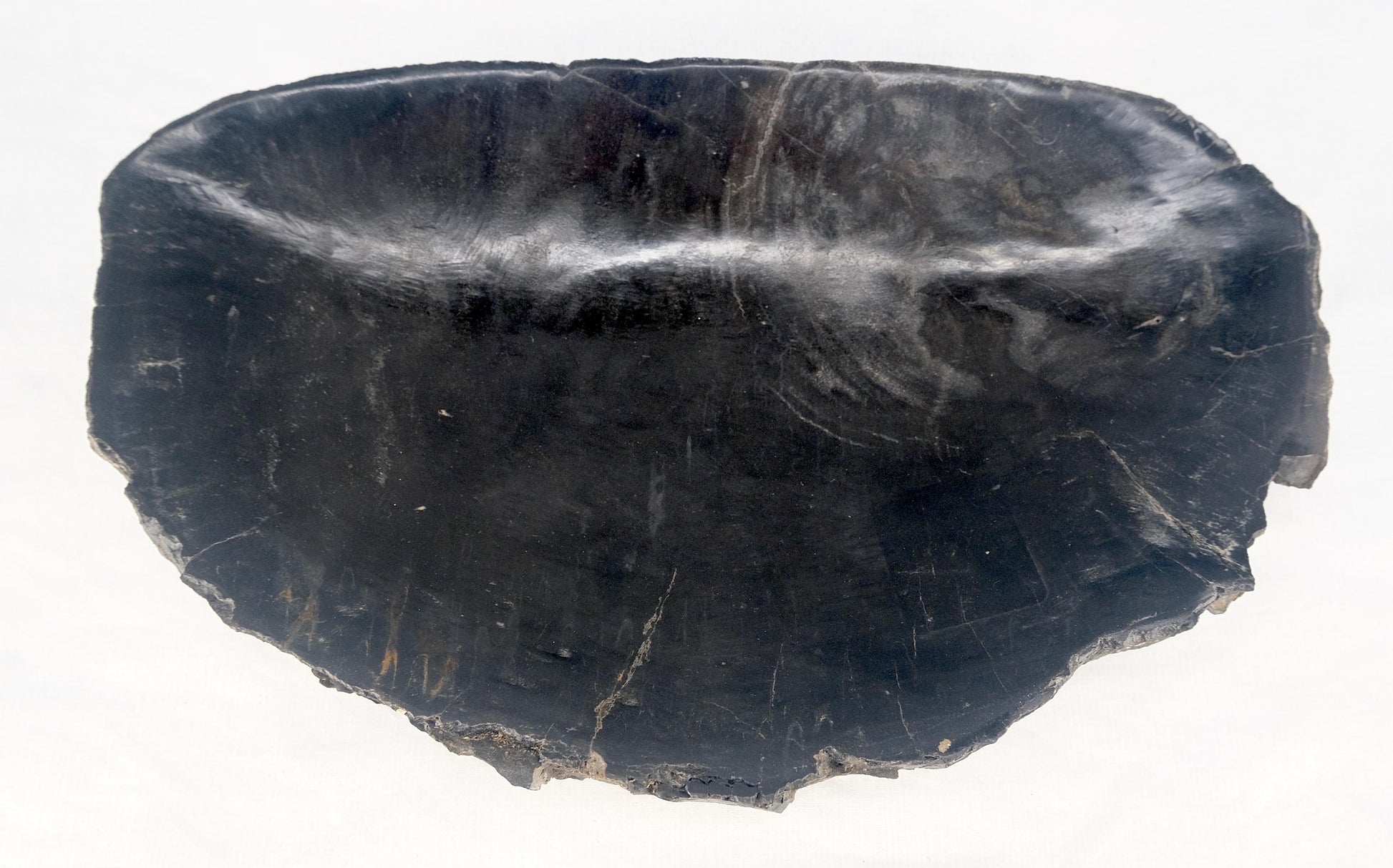 EstablishedLines Organic Oval Shape Black & Tan Petrified Wood Tray Bowl Dish Plate Ashtray