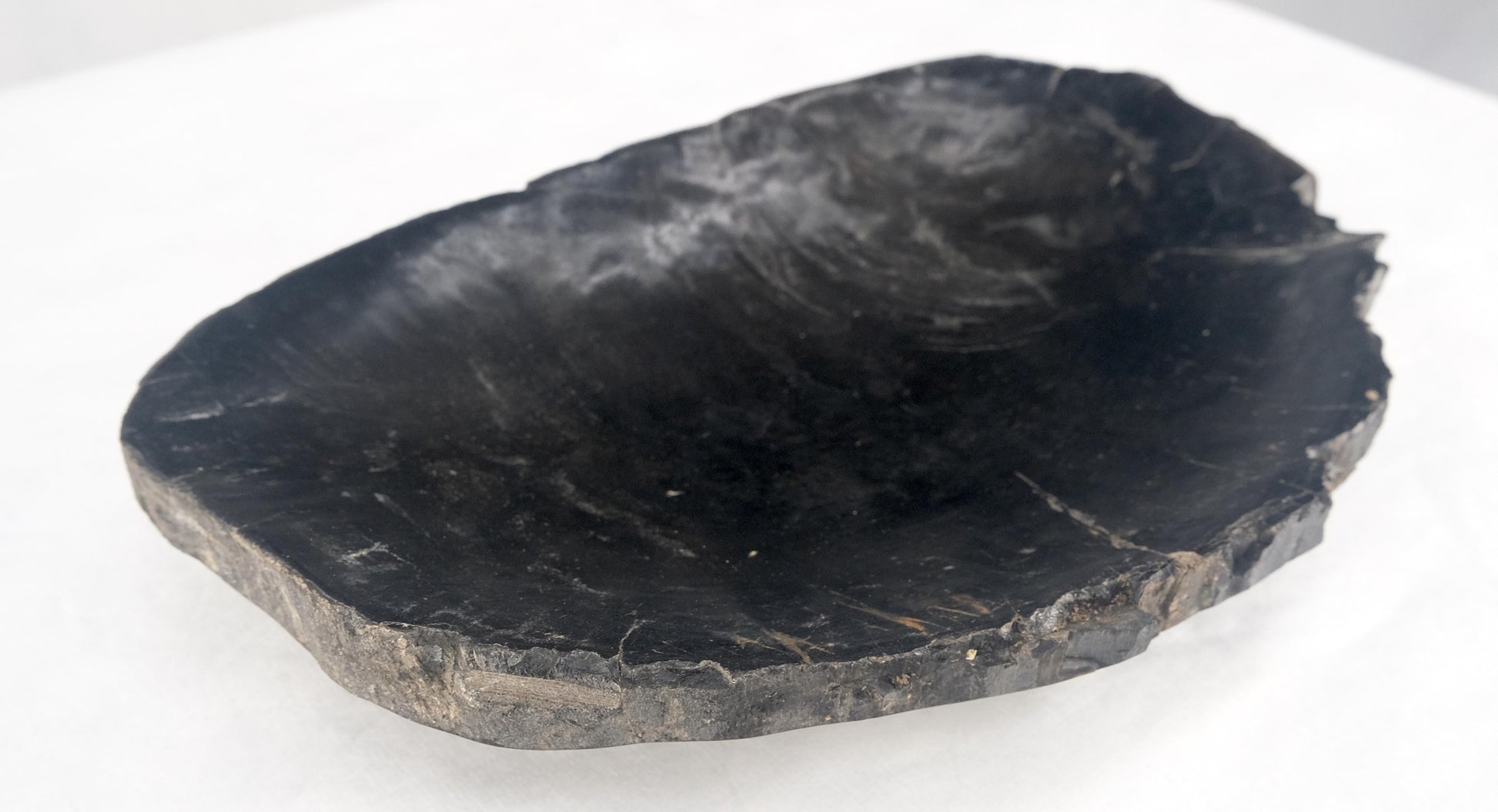 EstablishedLines Organic Oval Shape Black & Tan Petrified Wood Tray Bowl Dish Plate Ashtray
