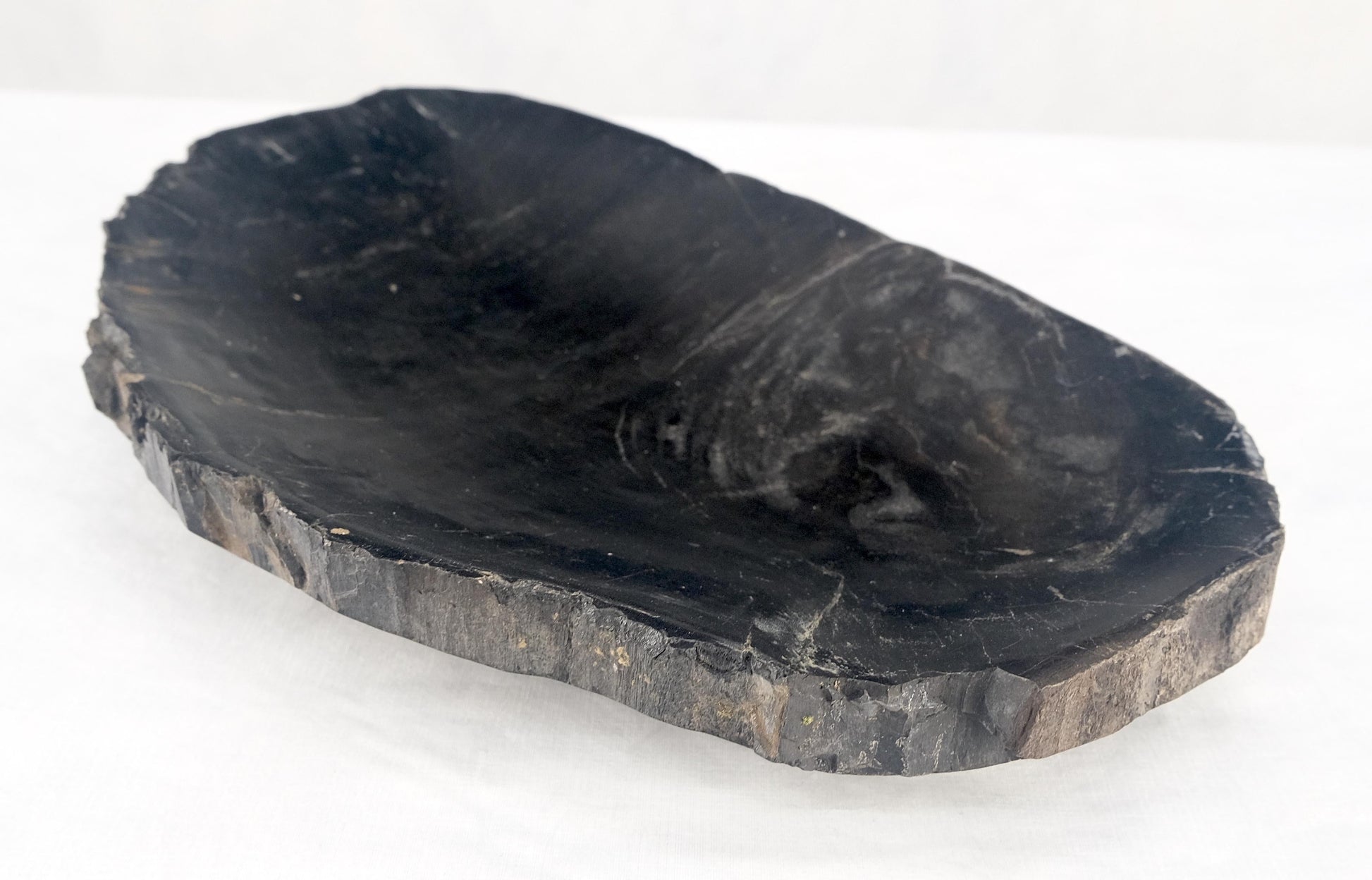 EstablishedLines Organic Oval Shape Black & Tan Petrified Wood Tray Bowl Dish Plate Ashtray